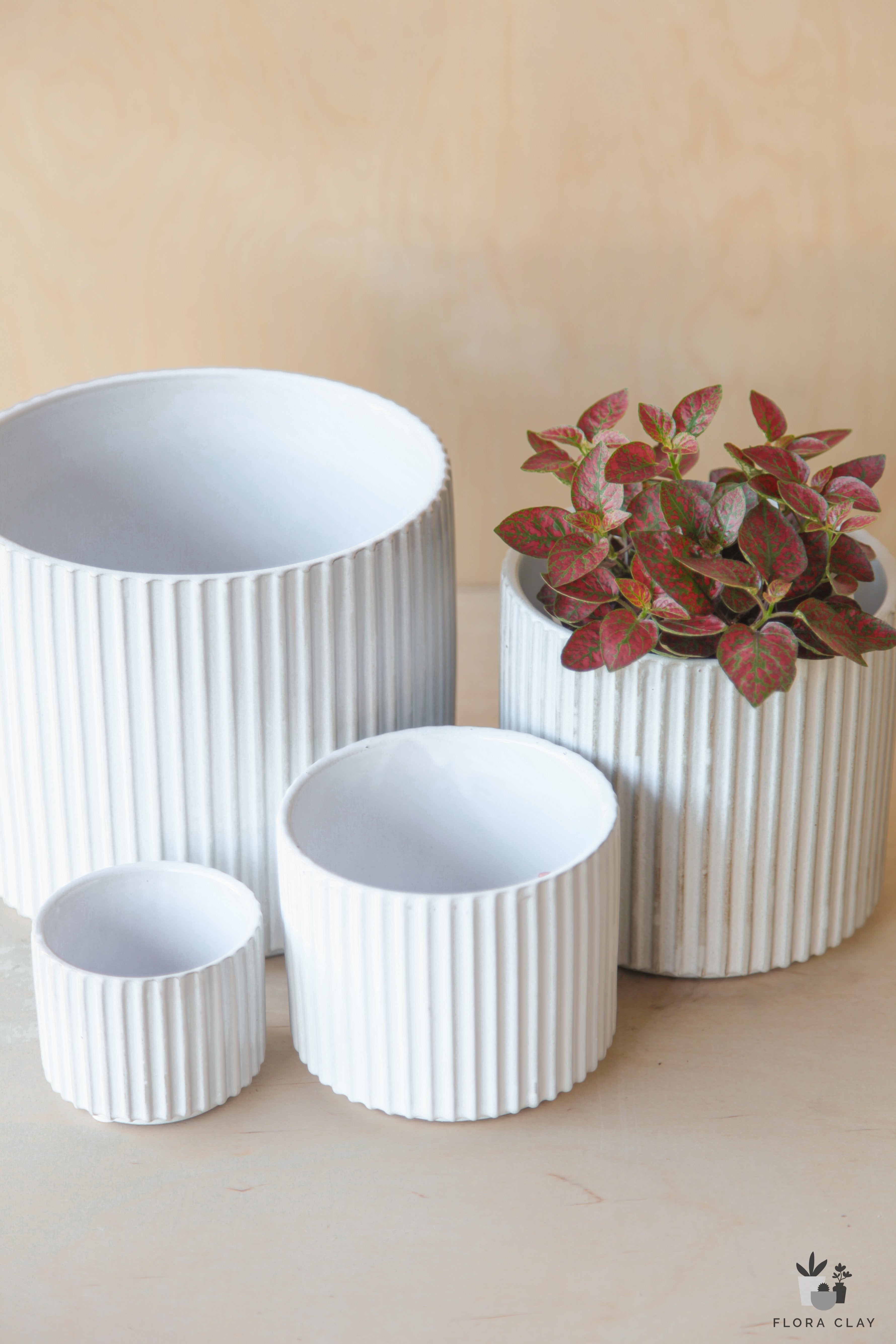 Ceramic Pot Collection
