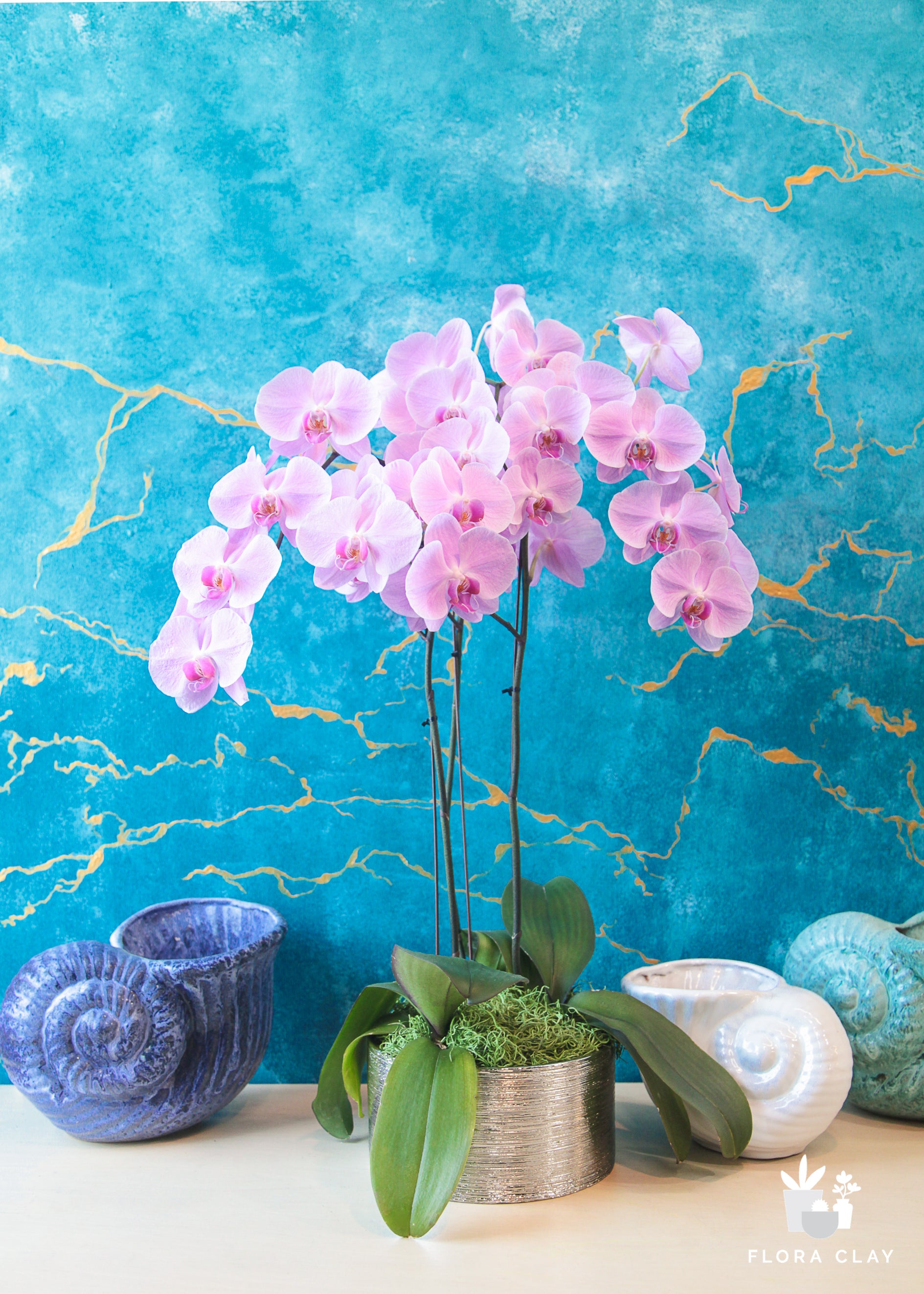 Rose Quartz | Orchid Arrangements – FLORA CLAY