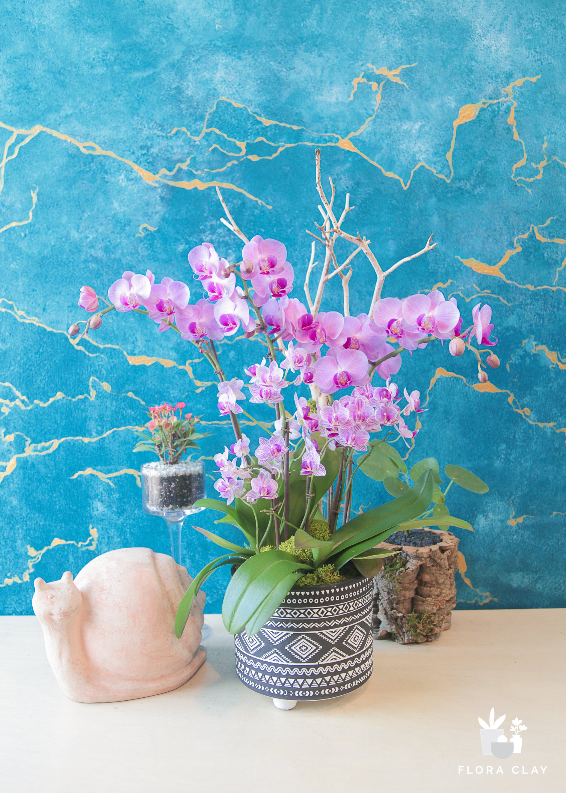 Maeve | Orchid Arrangements – FLORA CLAY