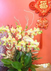 Lunar Flowers