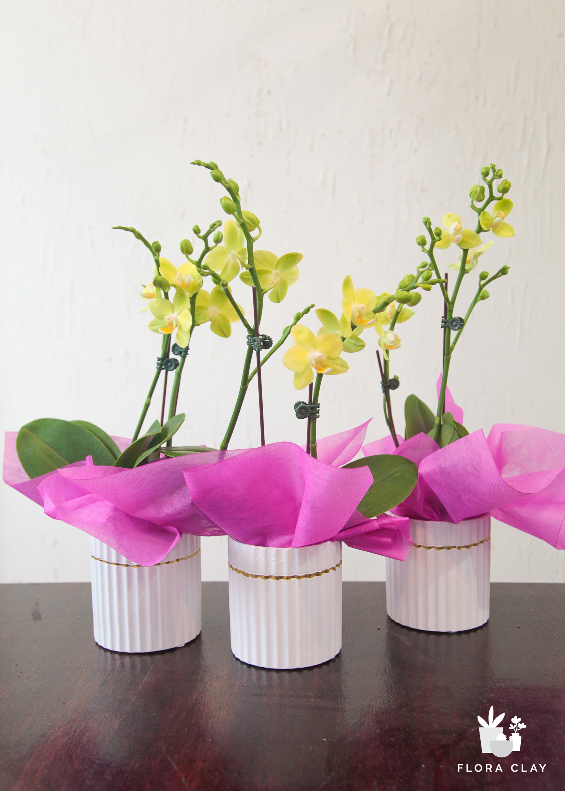 [Designer's Choice] Mini Orchid Arrangement