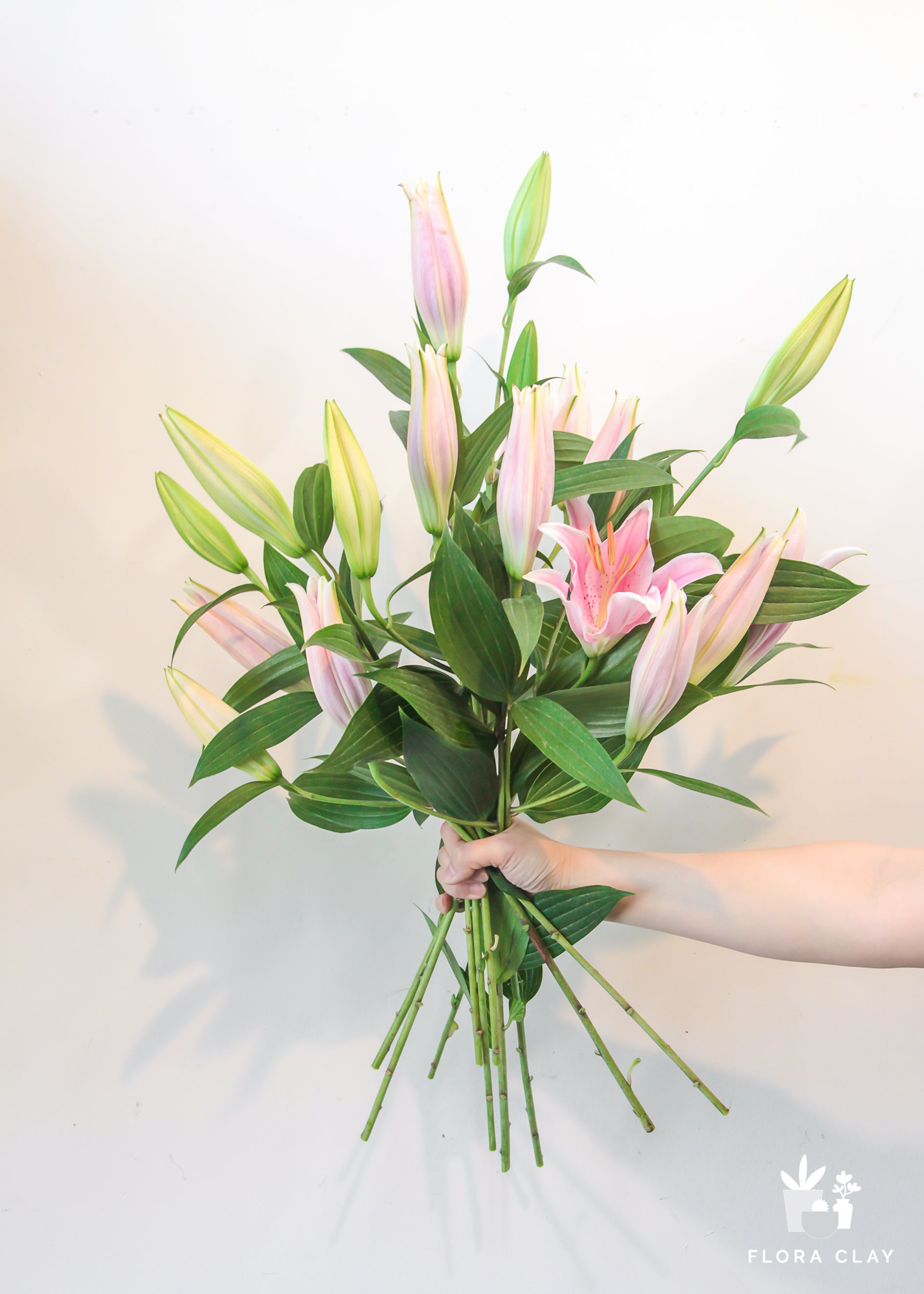 asiatic or oriental lily leaves Oriental Lily – FLORA CLAY