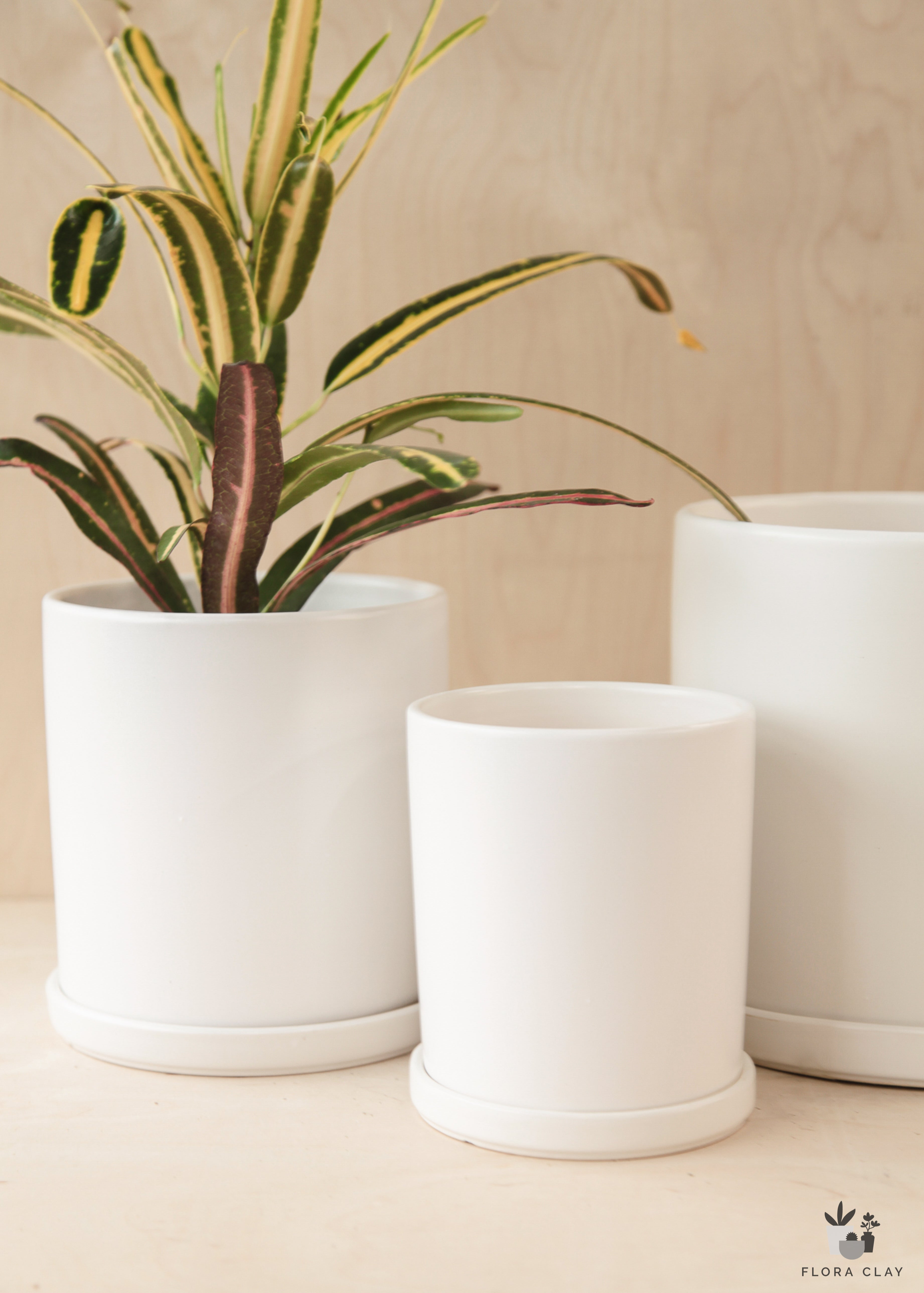 small white ceramic plant pots Basic White Ceramic