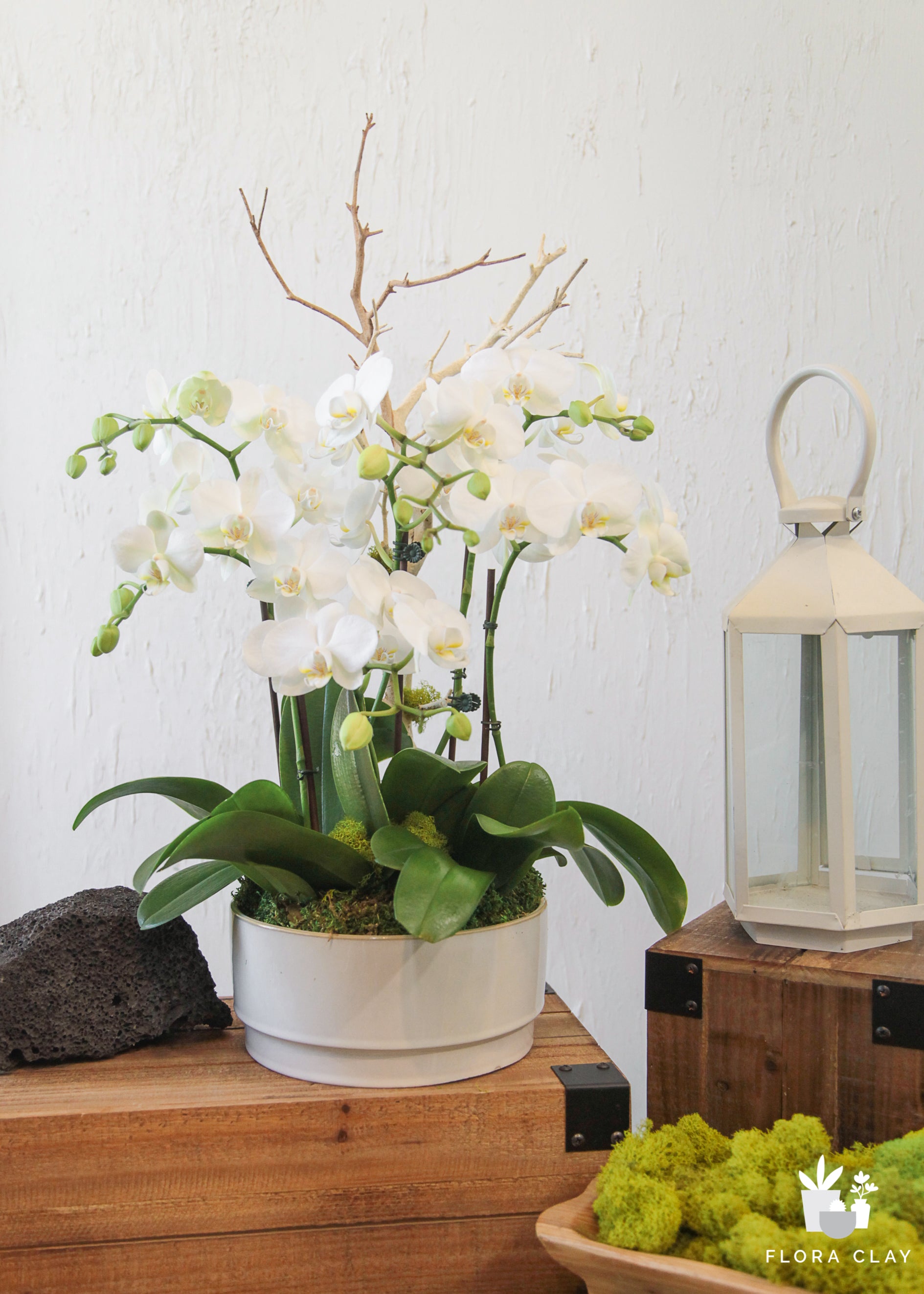 Carpe-diem-orchid-floraclay-1.jpg