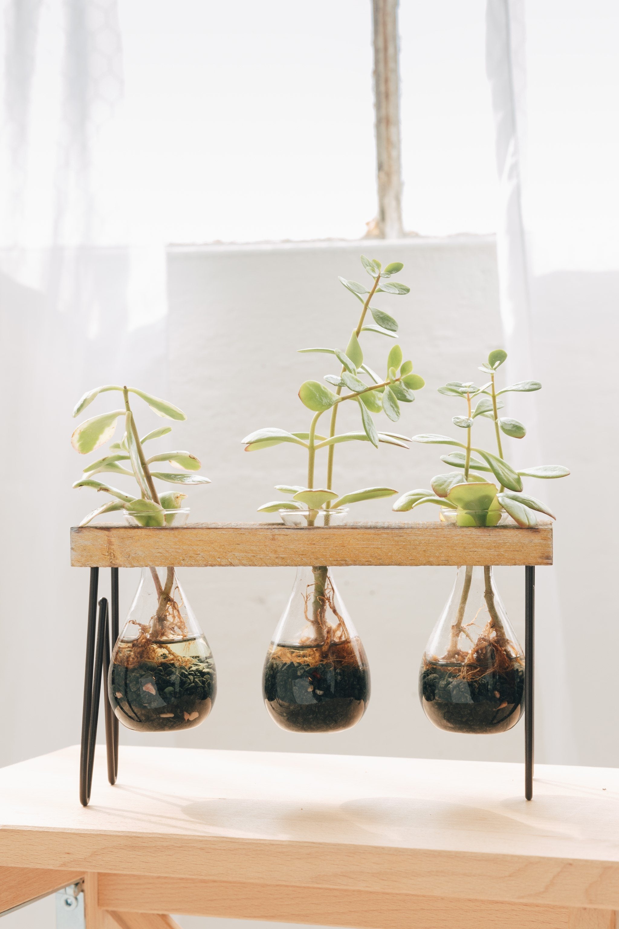 GLASS PLANTER