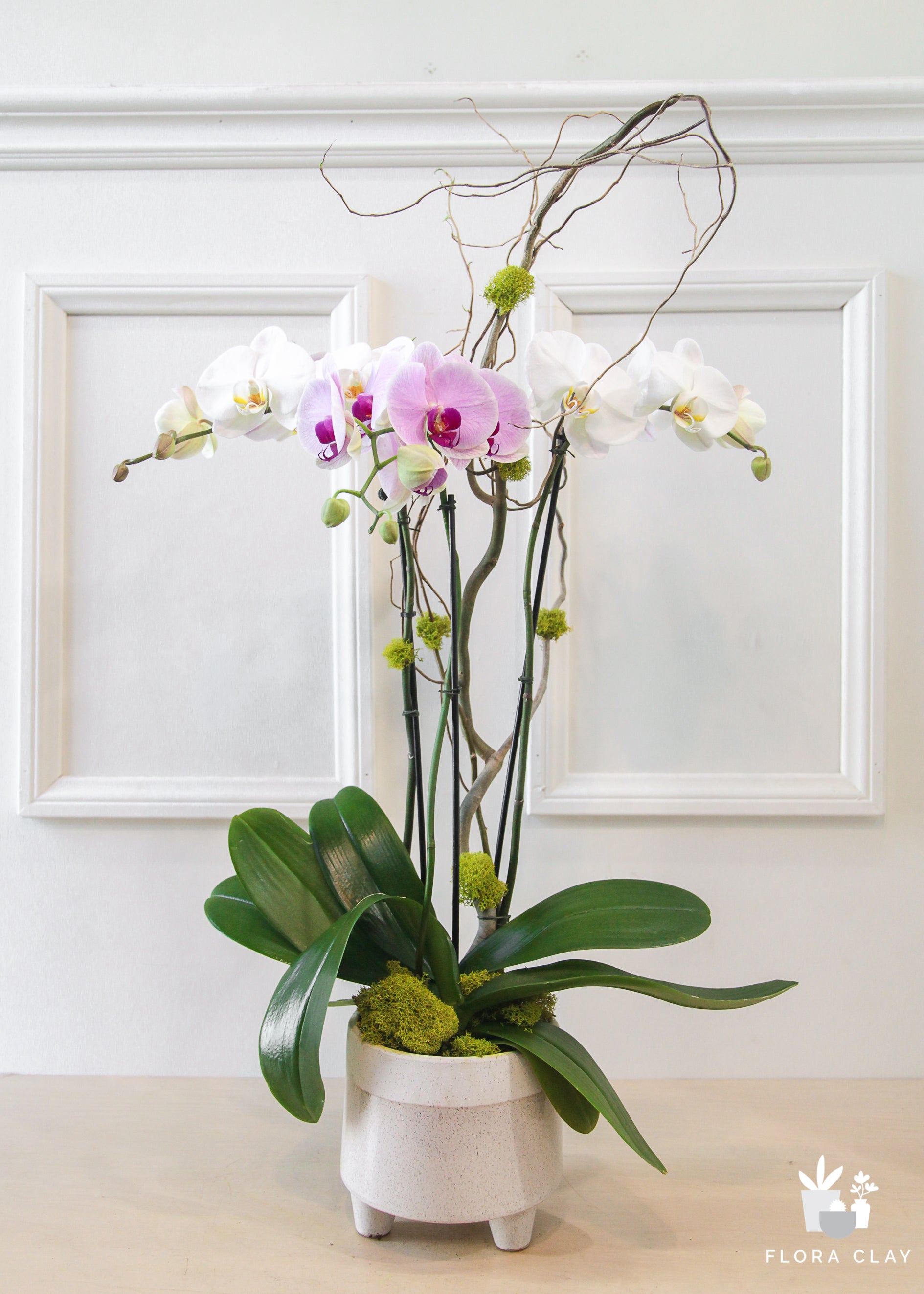 ambience-orchid-arrangement-renewed-floraclay-5.jpg