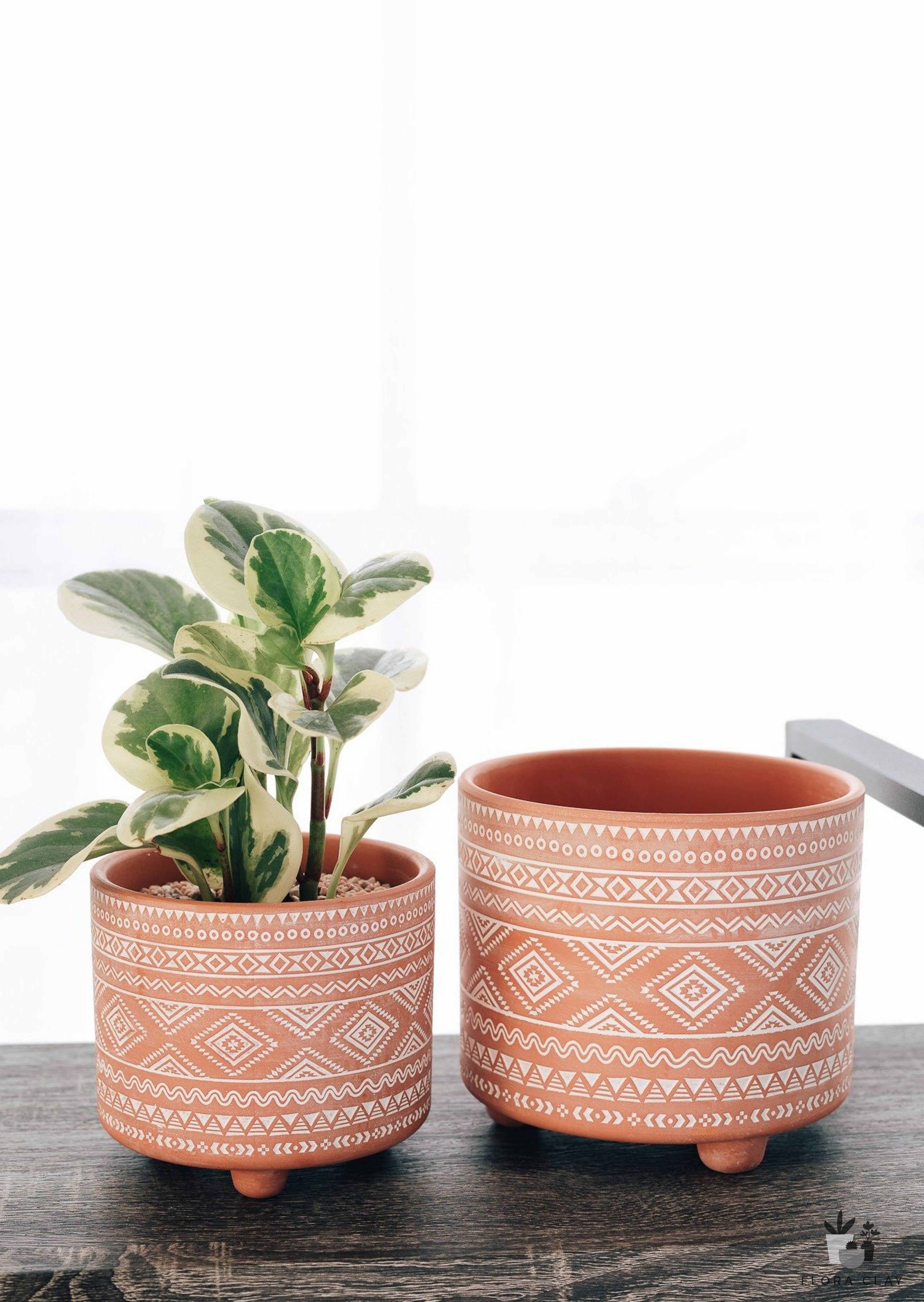 Aashu 2 Pieces Pot Planter Set Dakota Fields Color: Terracotta/White
