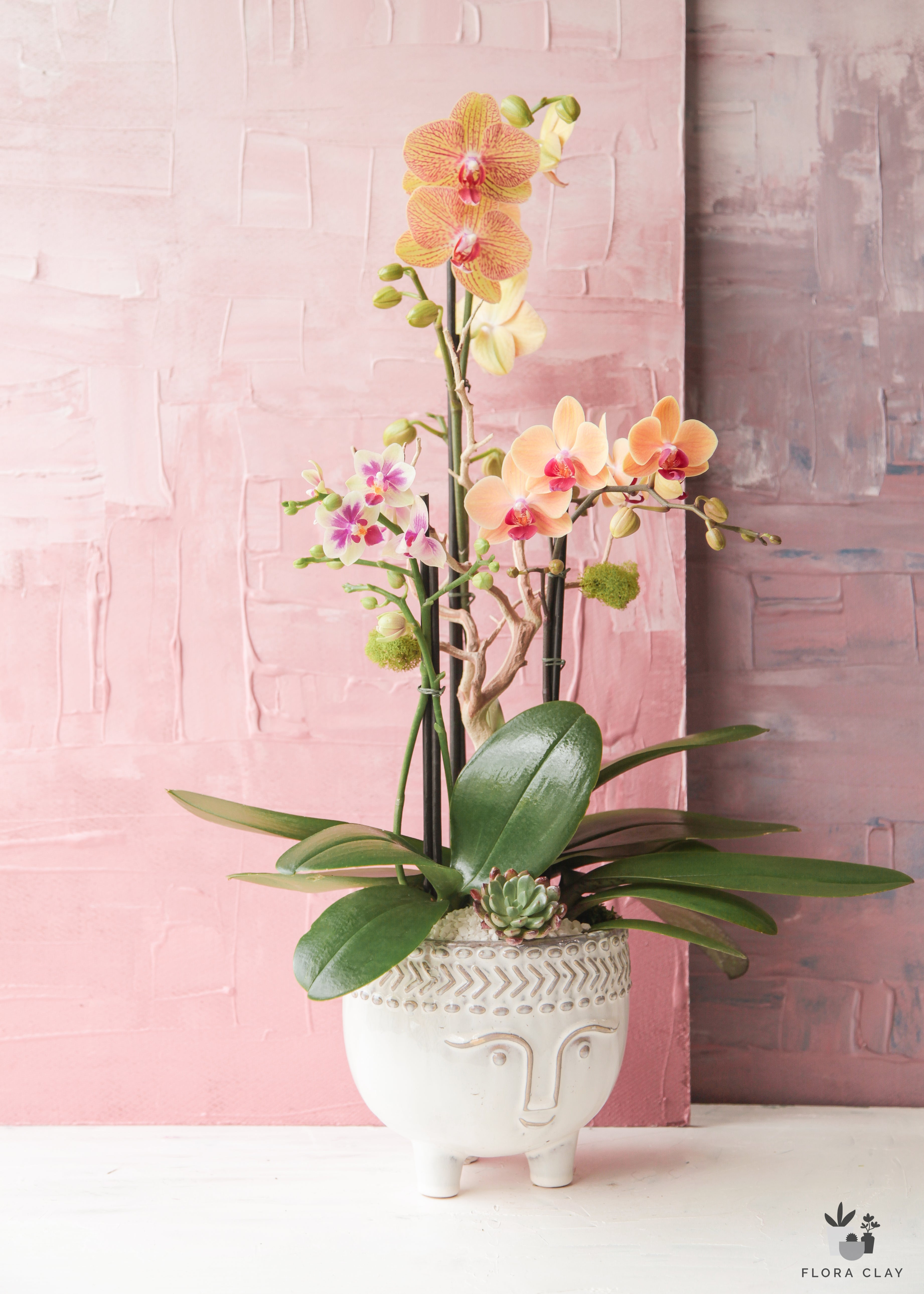 Flower Head
