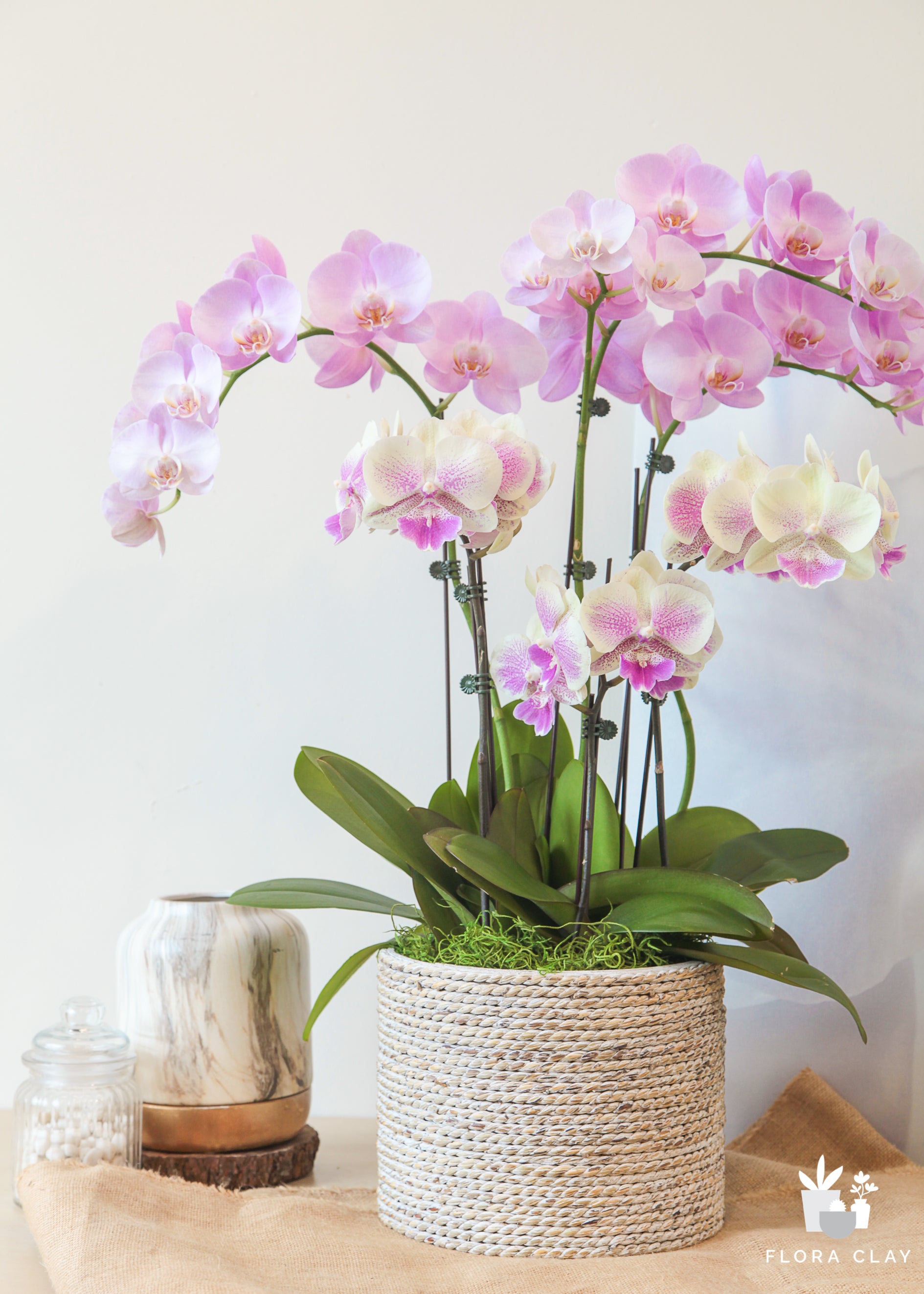 lip-balm-orchid-arrangement-floraclay-2.jpg