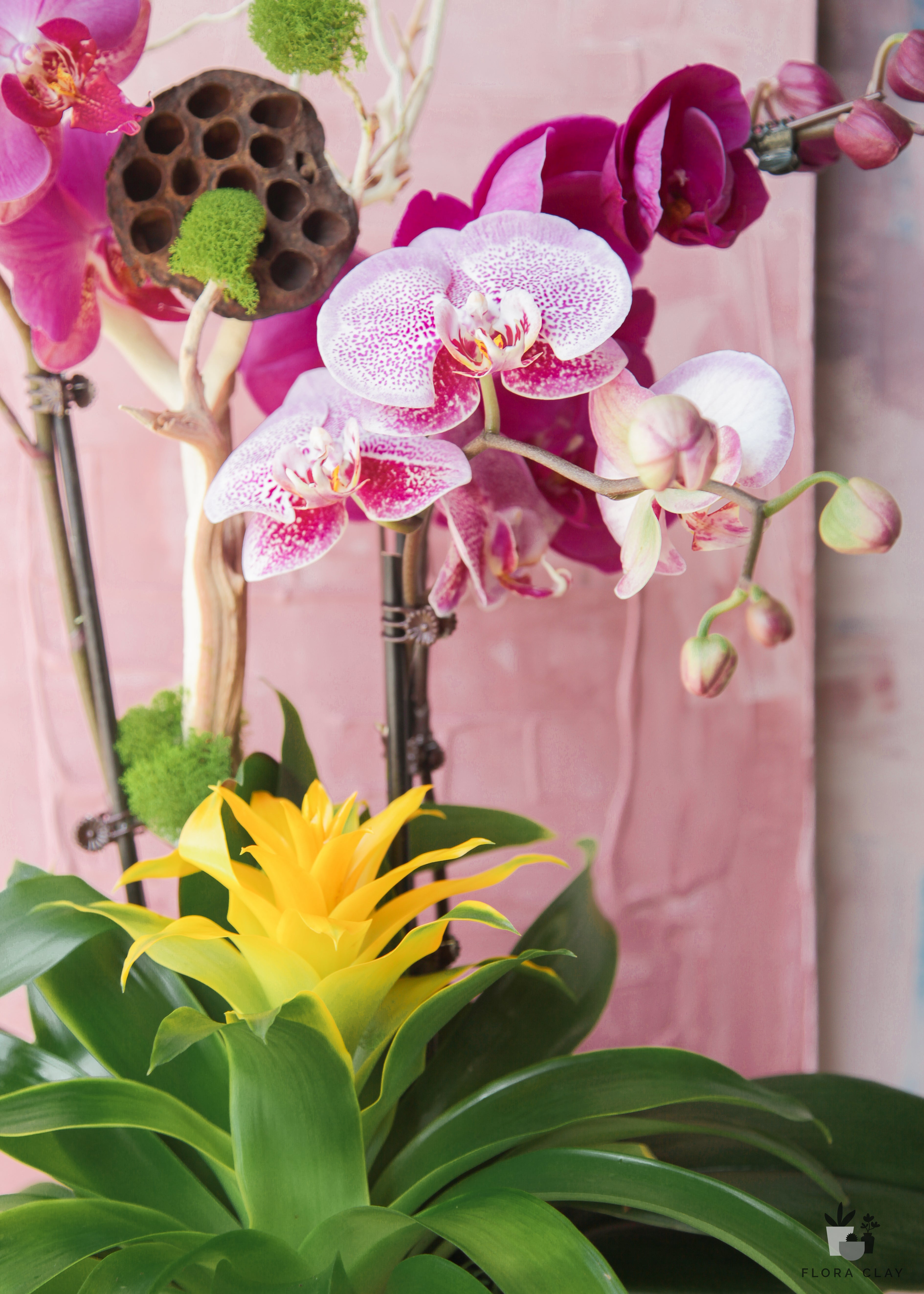my-rock-orchid-arrangement-floraclay-2.jpg