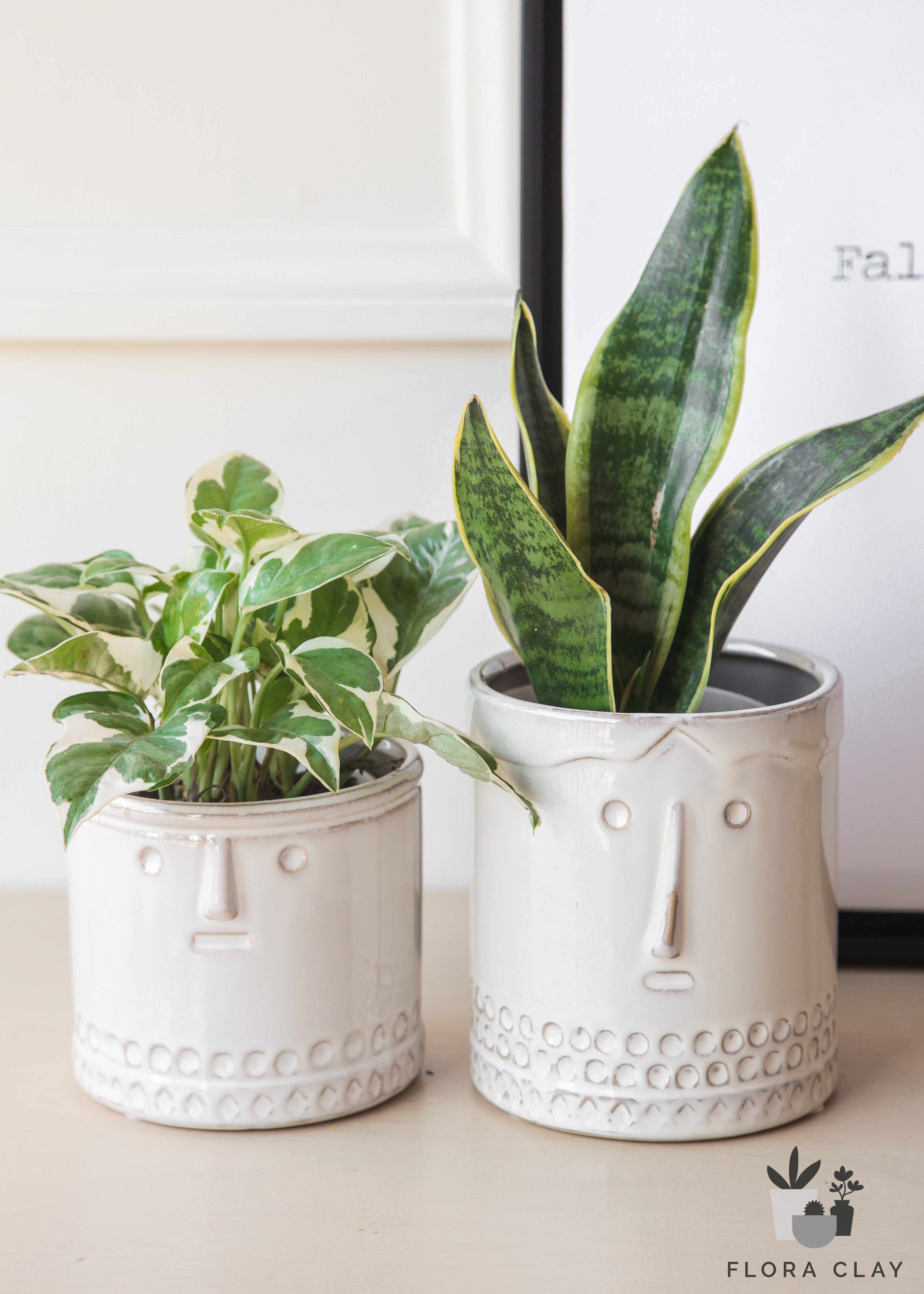 Pb & J Couple | Plant Arrangements – FLORA CLAY