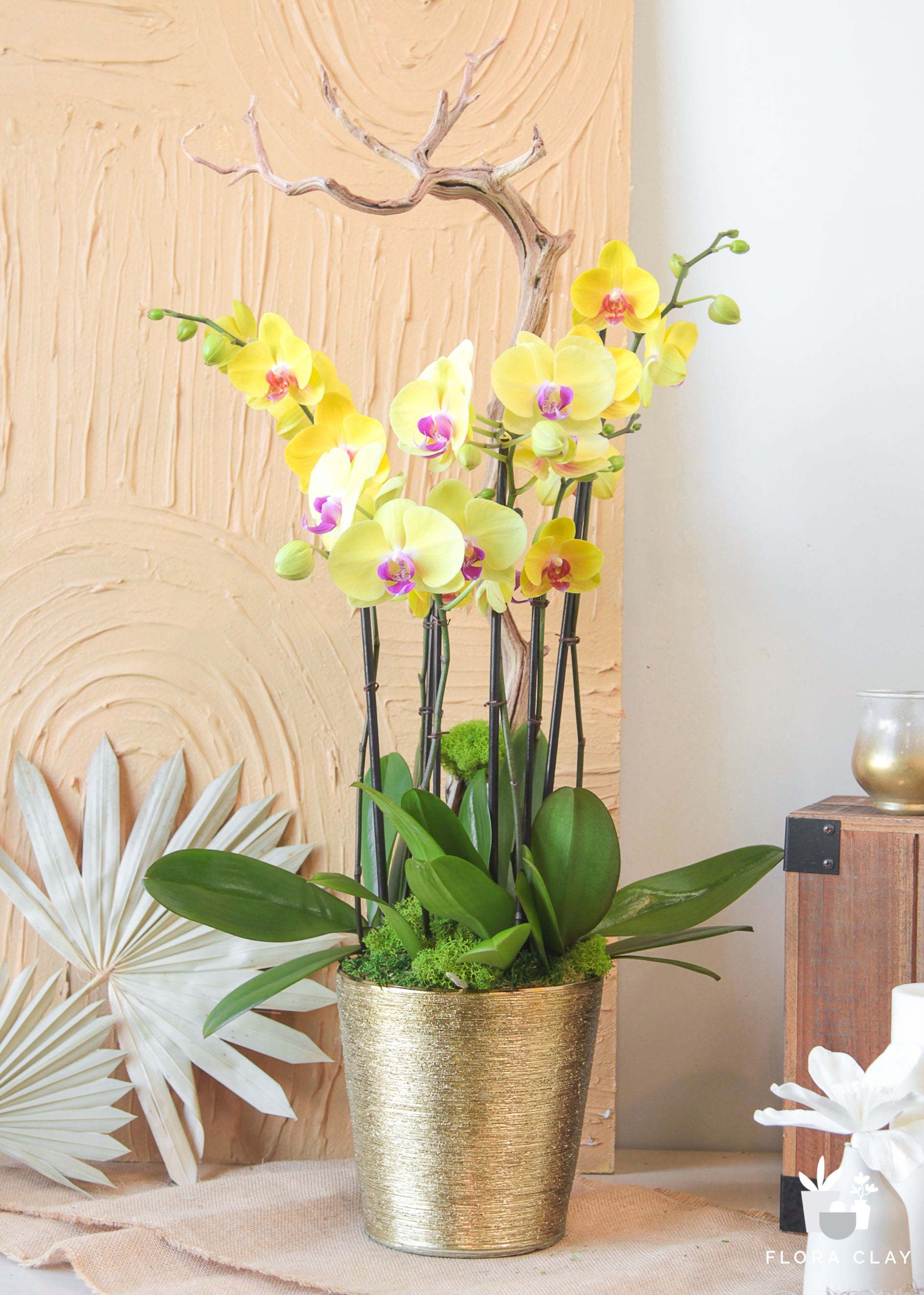 safflower-orchid-arrangement-floraclay-1.jpg