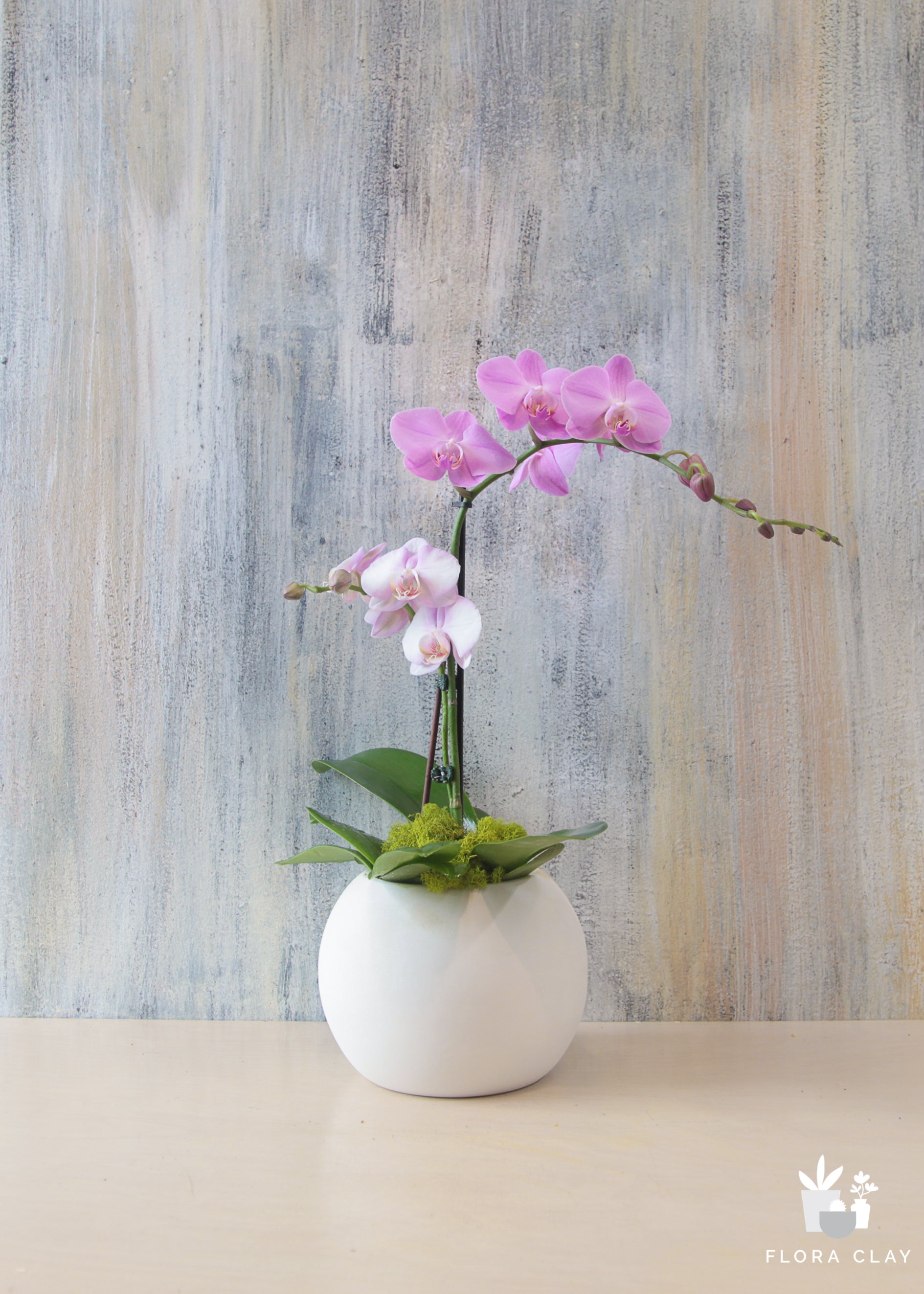 Small Acts of Kindness | Mini Orchid Arrangements – FLORA CLAY