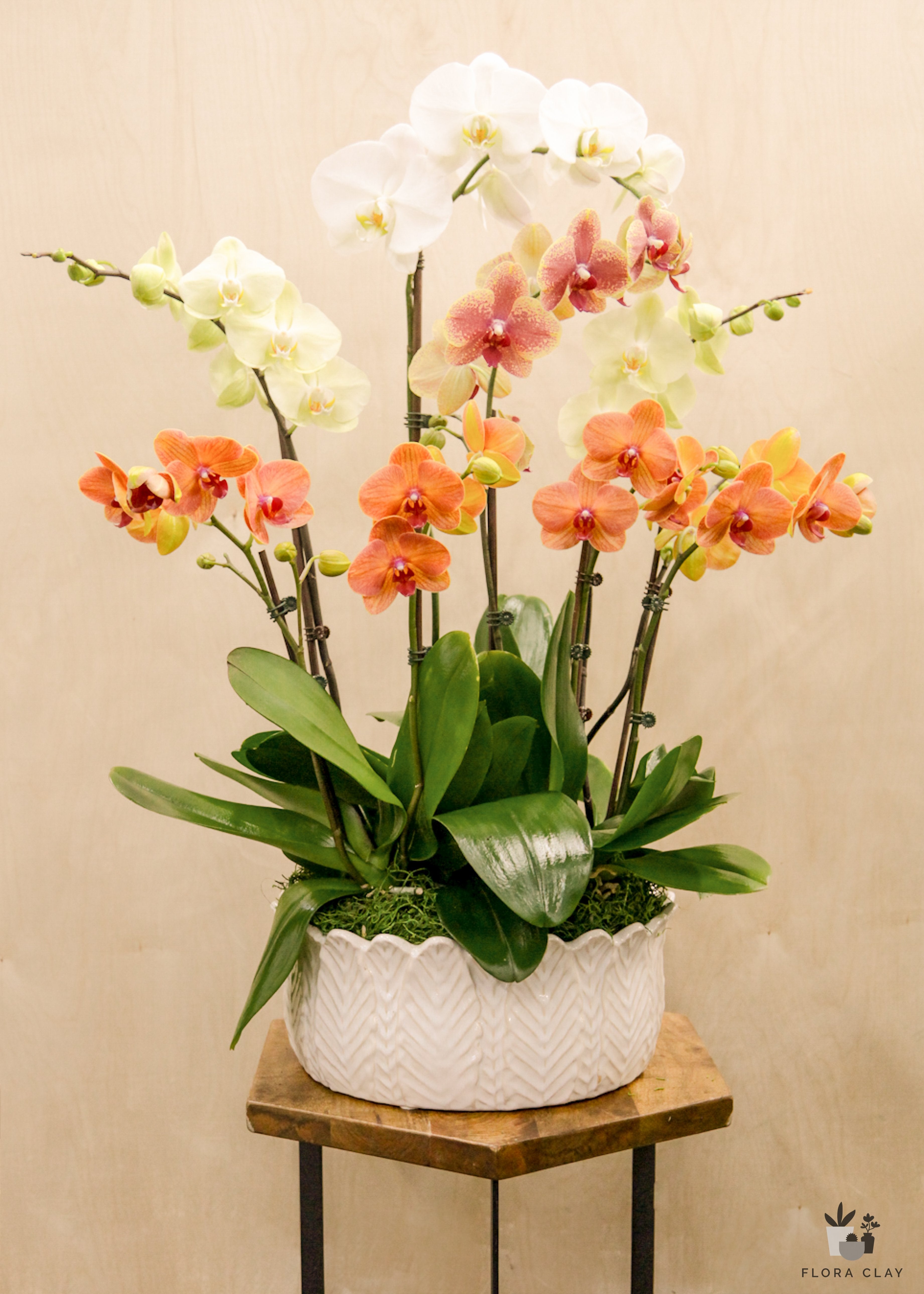 the-queen-orchid-arrangement-floraclay-1.jpg