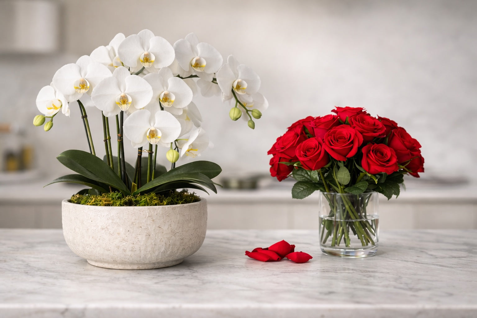 Orchids vs. Roses for Mother's Day: The Gift That Lasts Past June