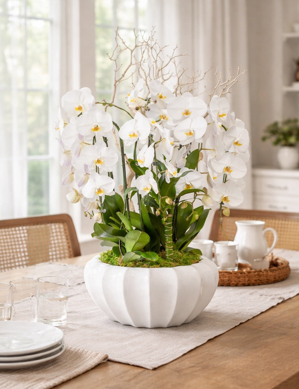 Mother's Day Orchid Gift Guide 2026
