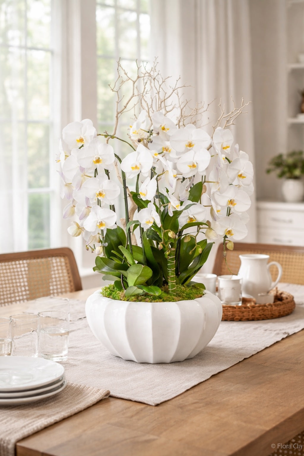 Mother's Day Orchid Gift Guide 2026