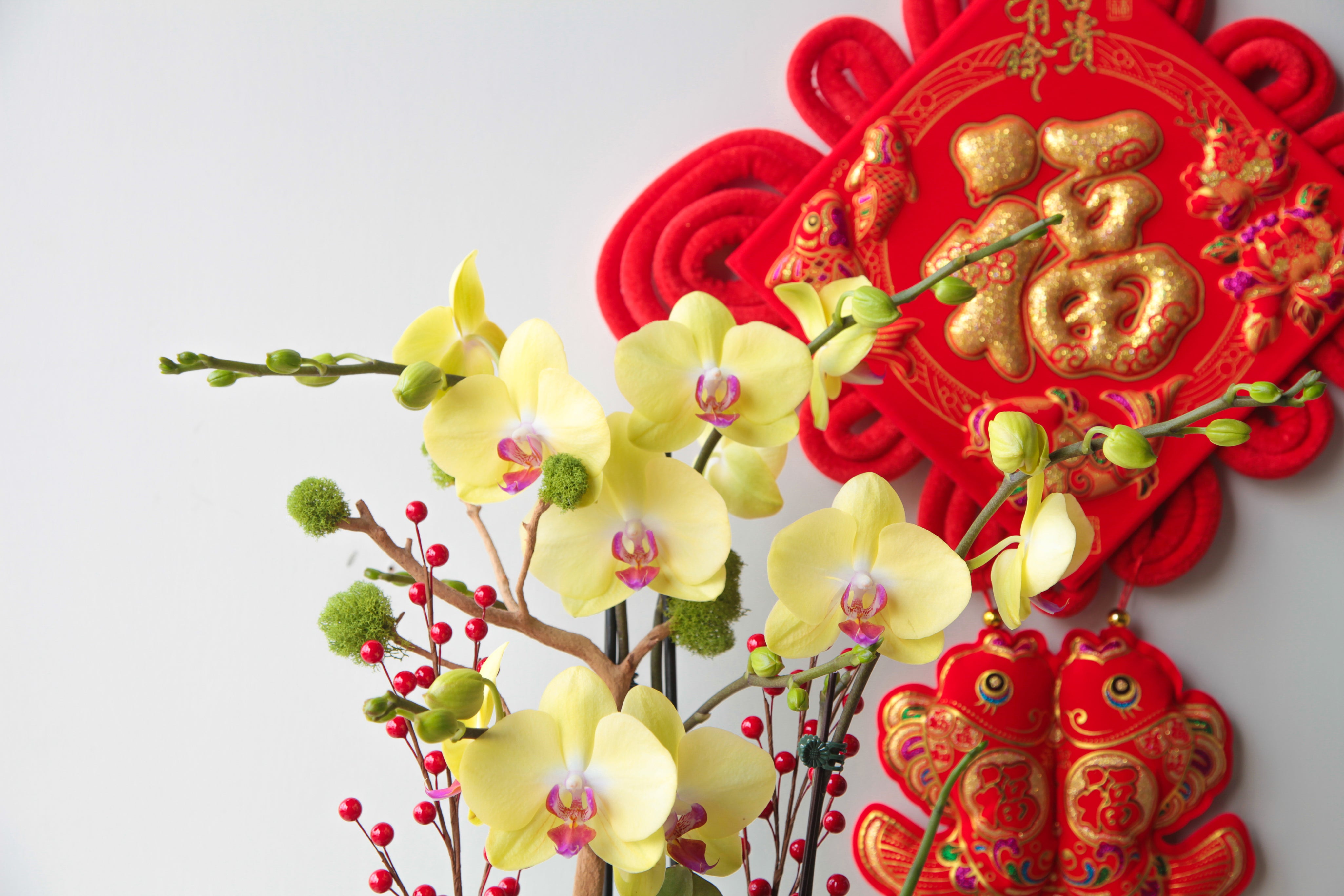 Lunar New Year Collection