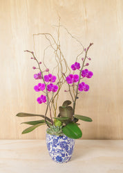 Grace in Bloom