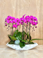 Magenta Orchid Luxe in a Rustic Boat Pot