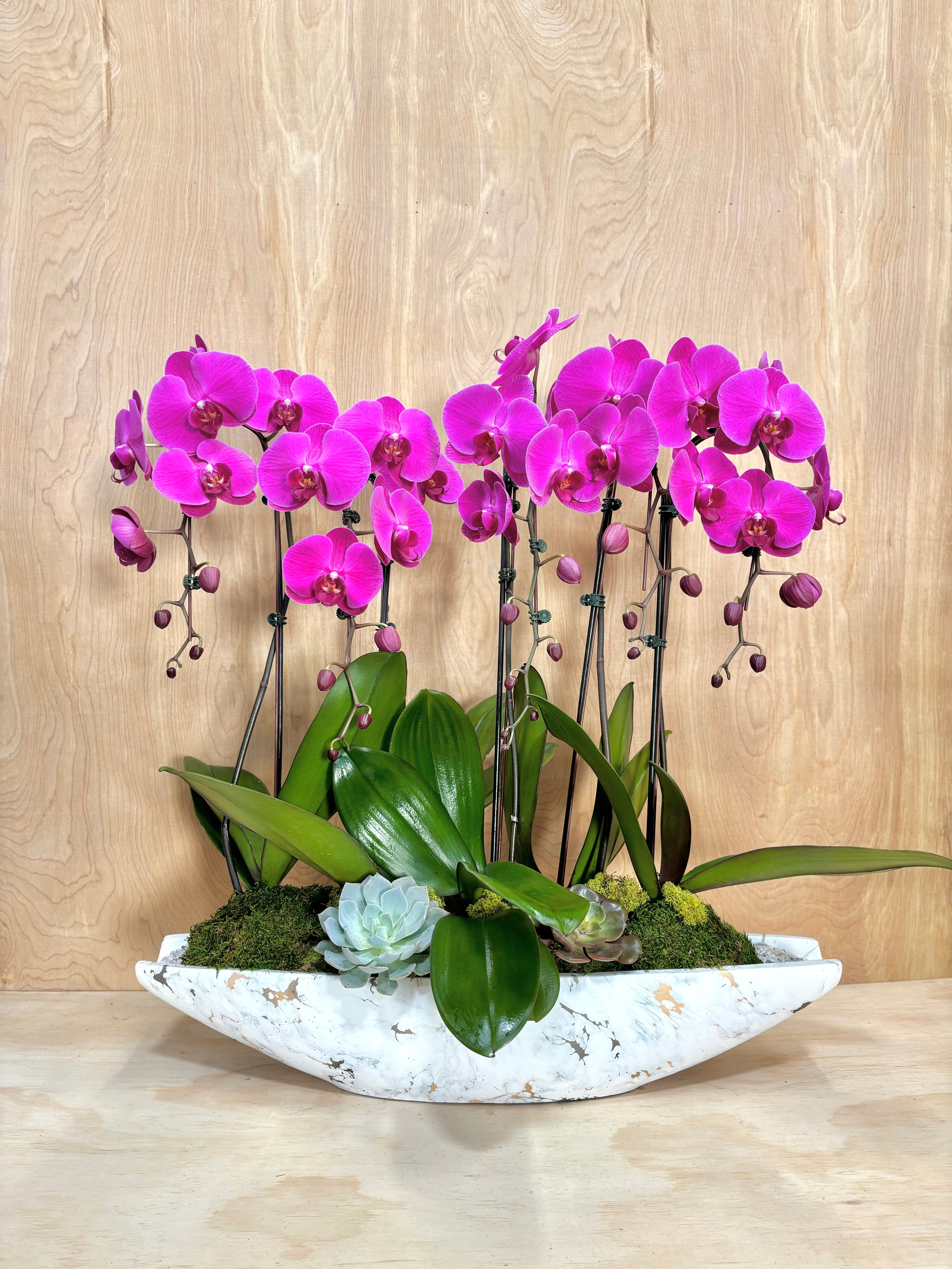 Magenta Orchid Luxe in a Rustic Boat Pot