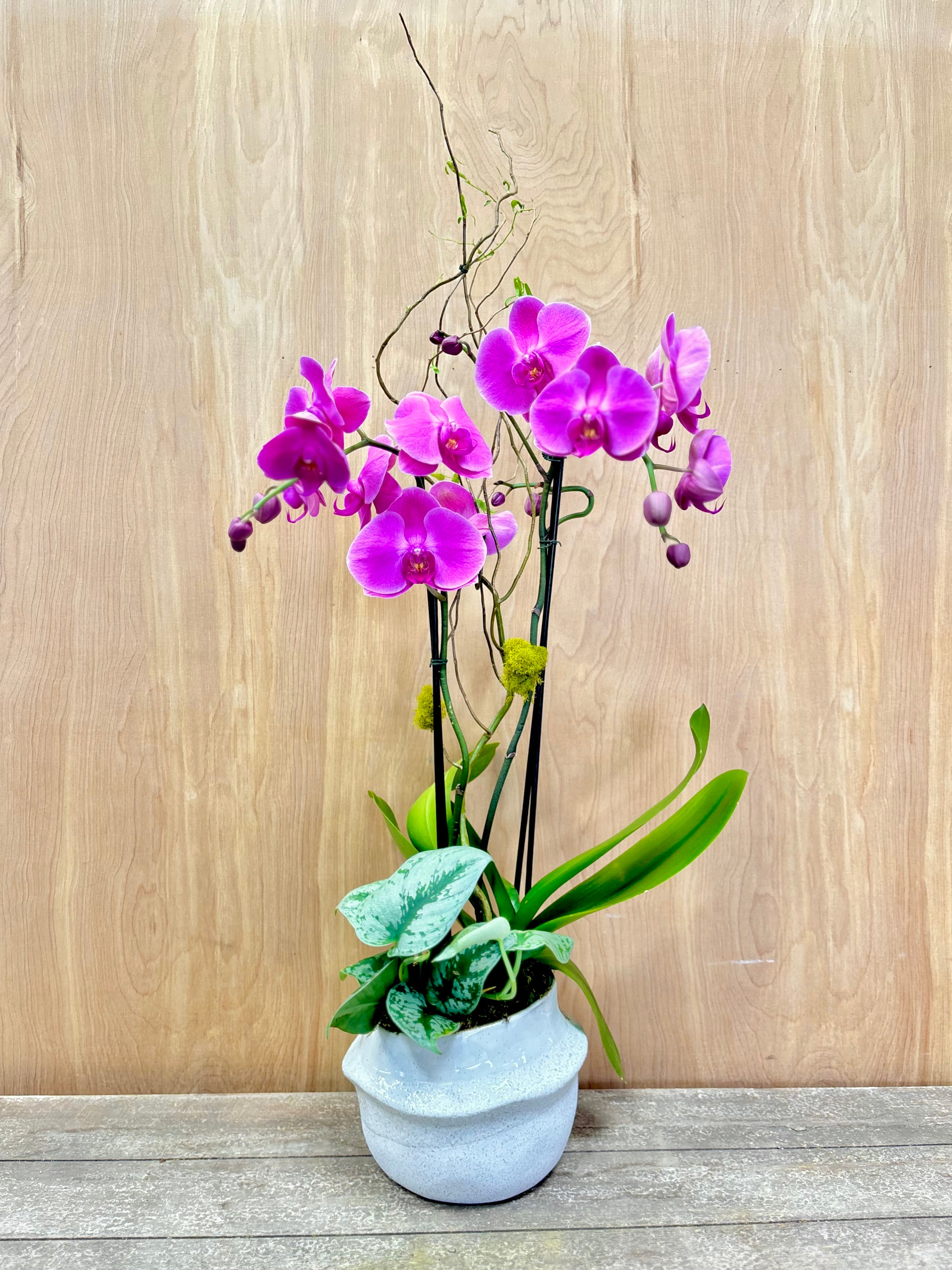 Aria Pink Orchid Arrangement
