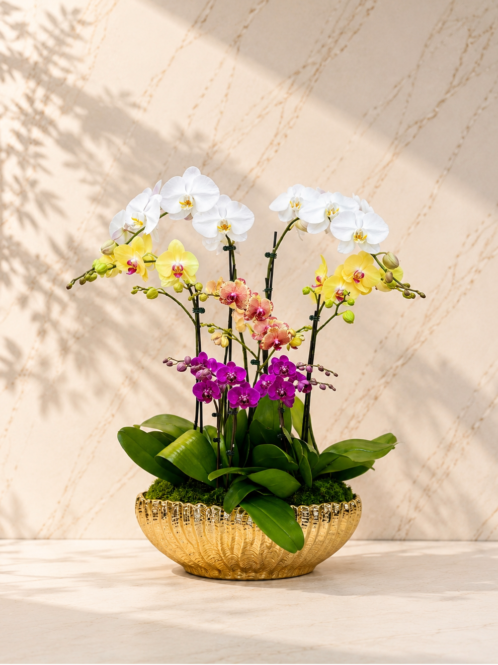 A potted arrangement of white, yellow, pink, and purple orchids with green leaves, presented in a textured gold bowl on a light surface against a beige wall with soft leaf shadows.