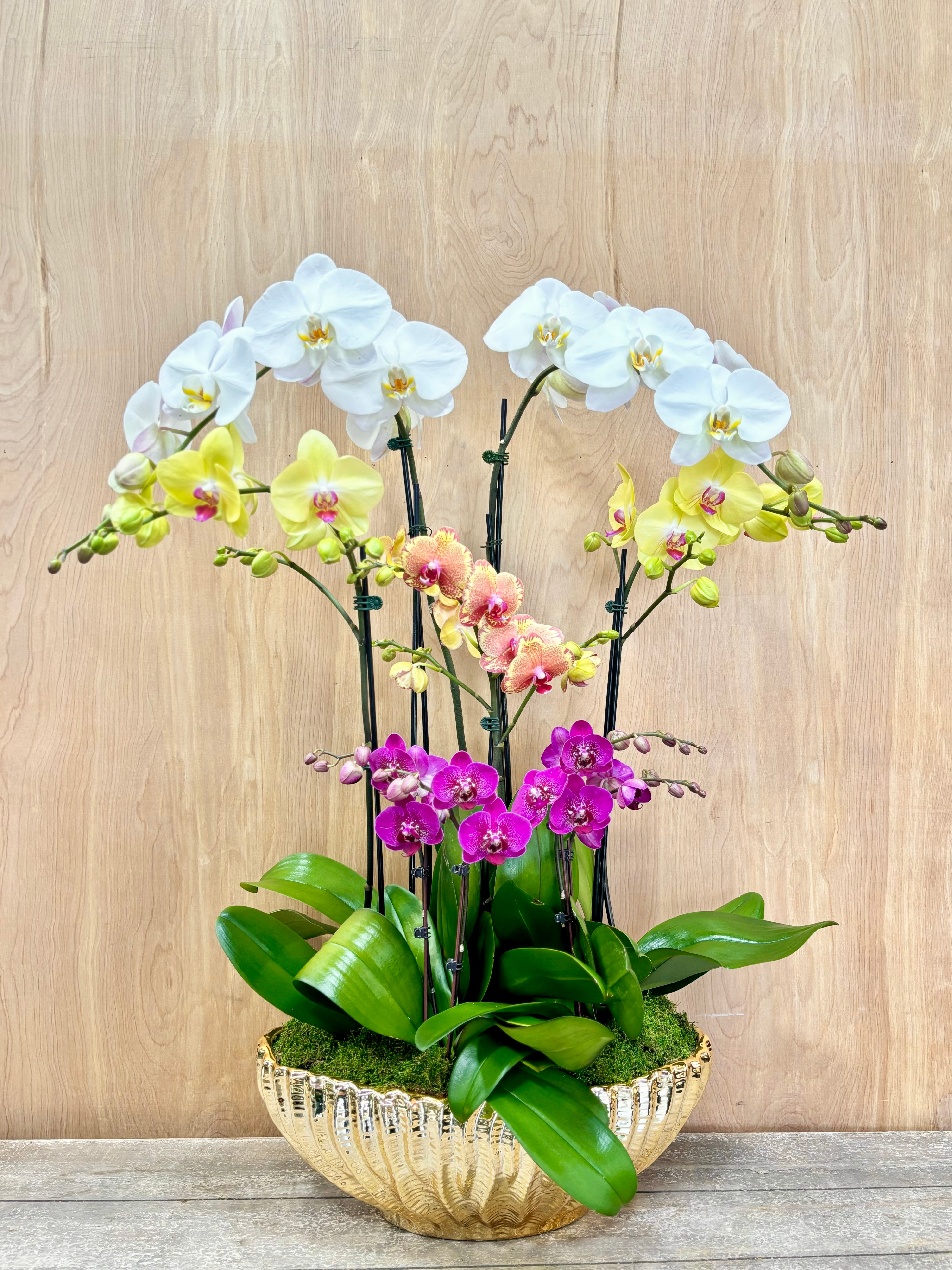 Decorative arrangement of orchids in a decorative pot on a wooden surface