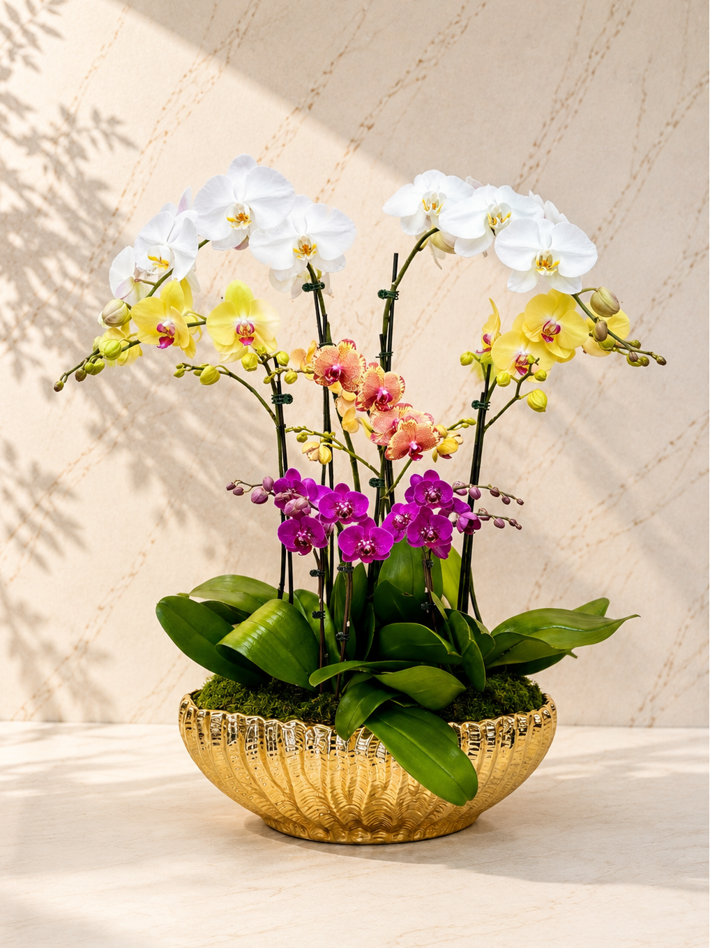 A celebration of light and color. Housed in our signature gold shell pot, the Aurora is an eclectic mix of white, yellow, and purple orchids. It’s designed for the vibrant mom who lives for the glam and loves to shine.

Style: Radiant • Eclectic

Vibe: Bold & Luxurious