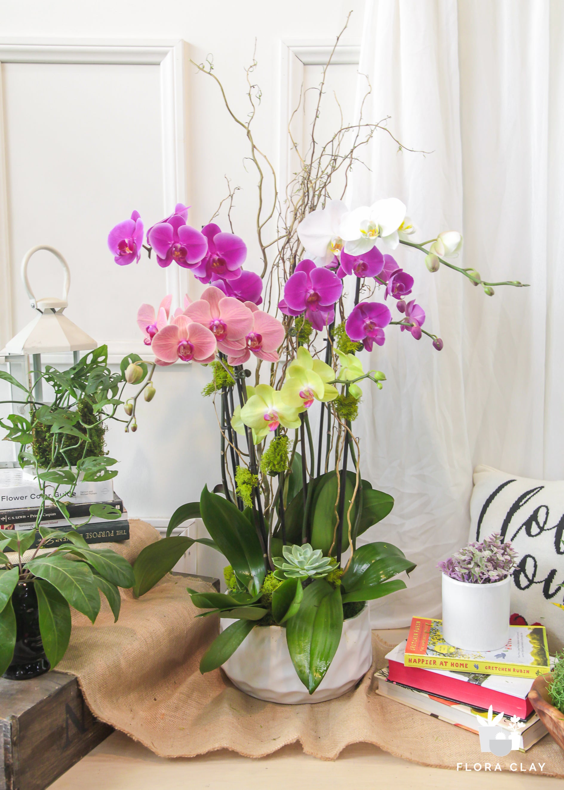 Bella Mixed Orchid Arrangement purple yellow white orange orchid arrangement