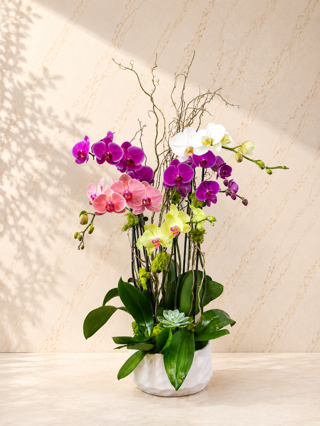 Bella Mixed Orchid Arrangement