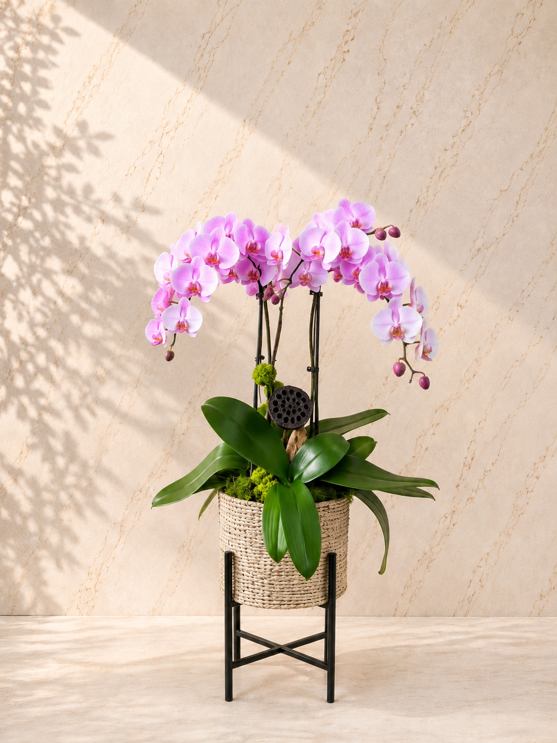 Blush_Cascade_Luxury_OrchidStand
