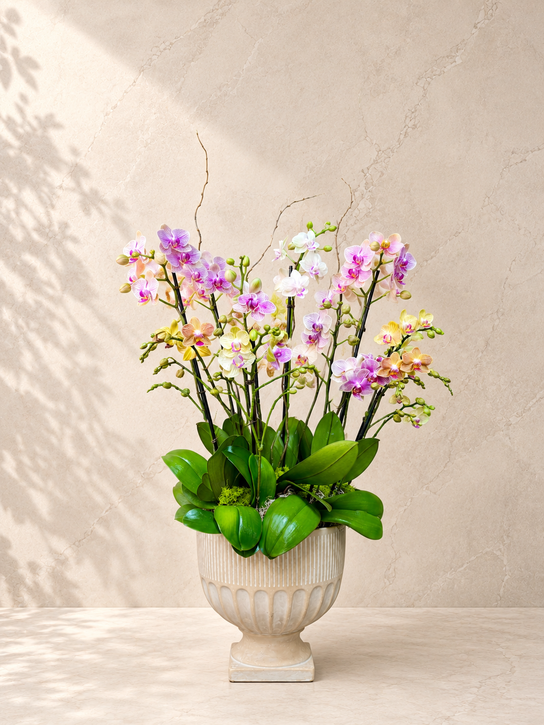 Vintage Garden Mixed Orchid Blooms