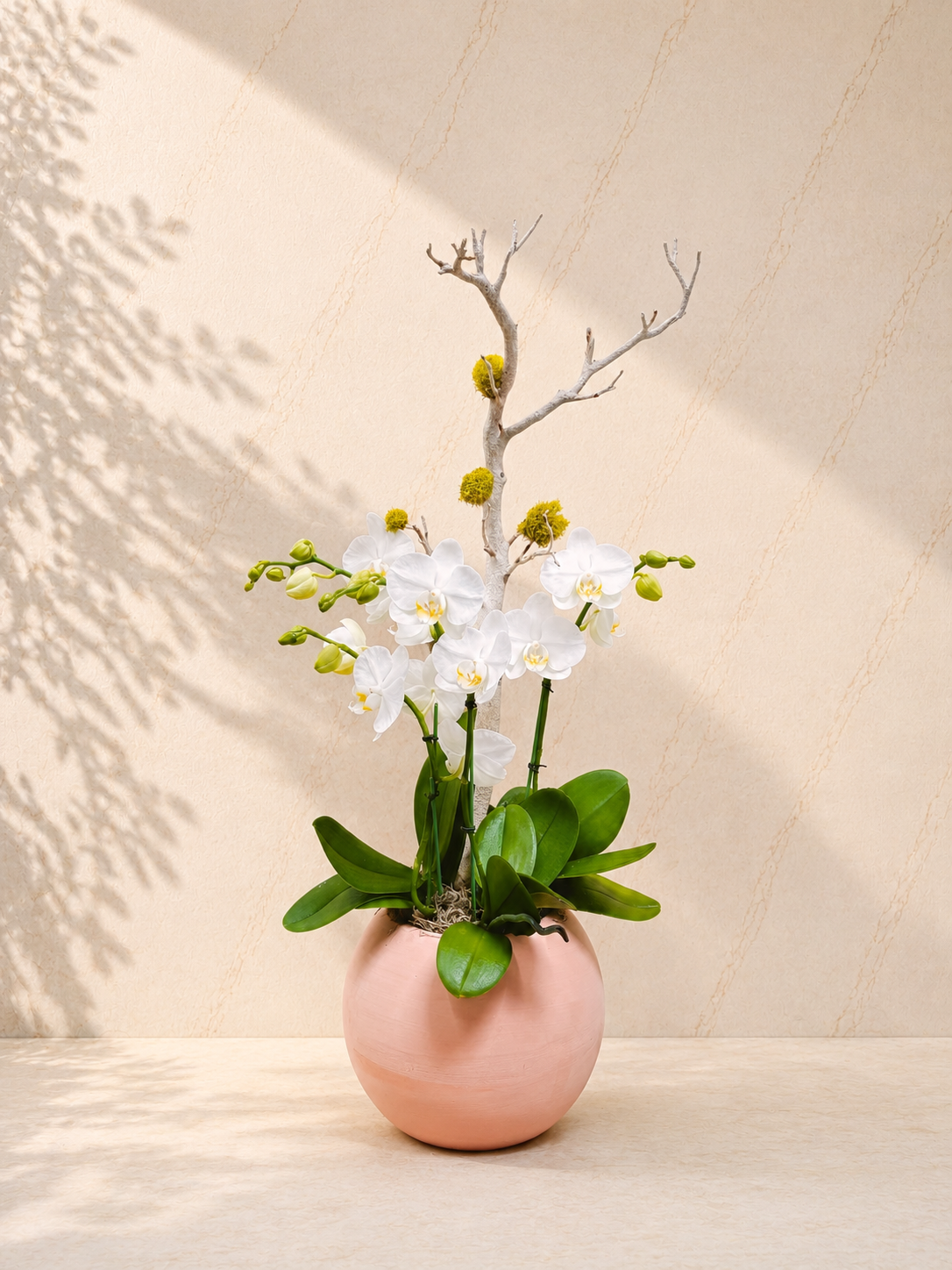 ChatGPT_Image_Jul_9_2026_01_53_50_PM.png