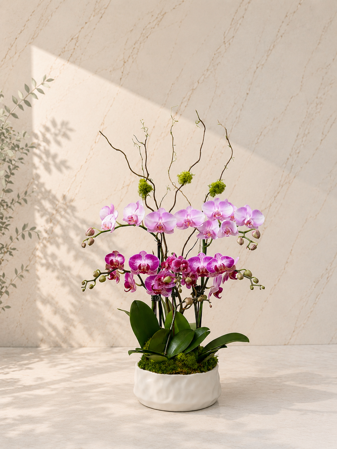 Claire Pink Orchid Arrangement
