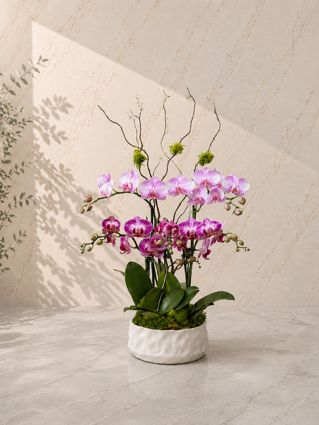 Claire Pink Orchid Arrangement 2 