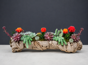 Desert Oasis Driftwood Arrangement