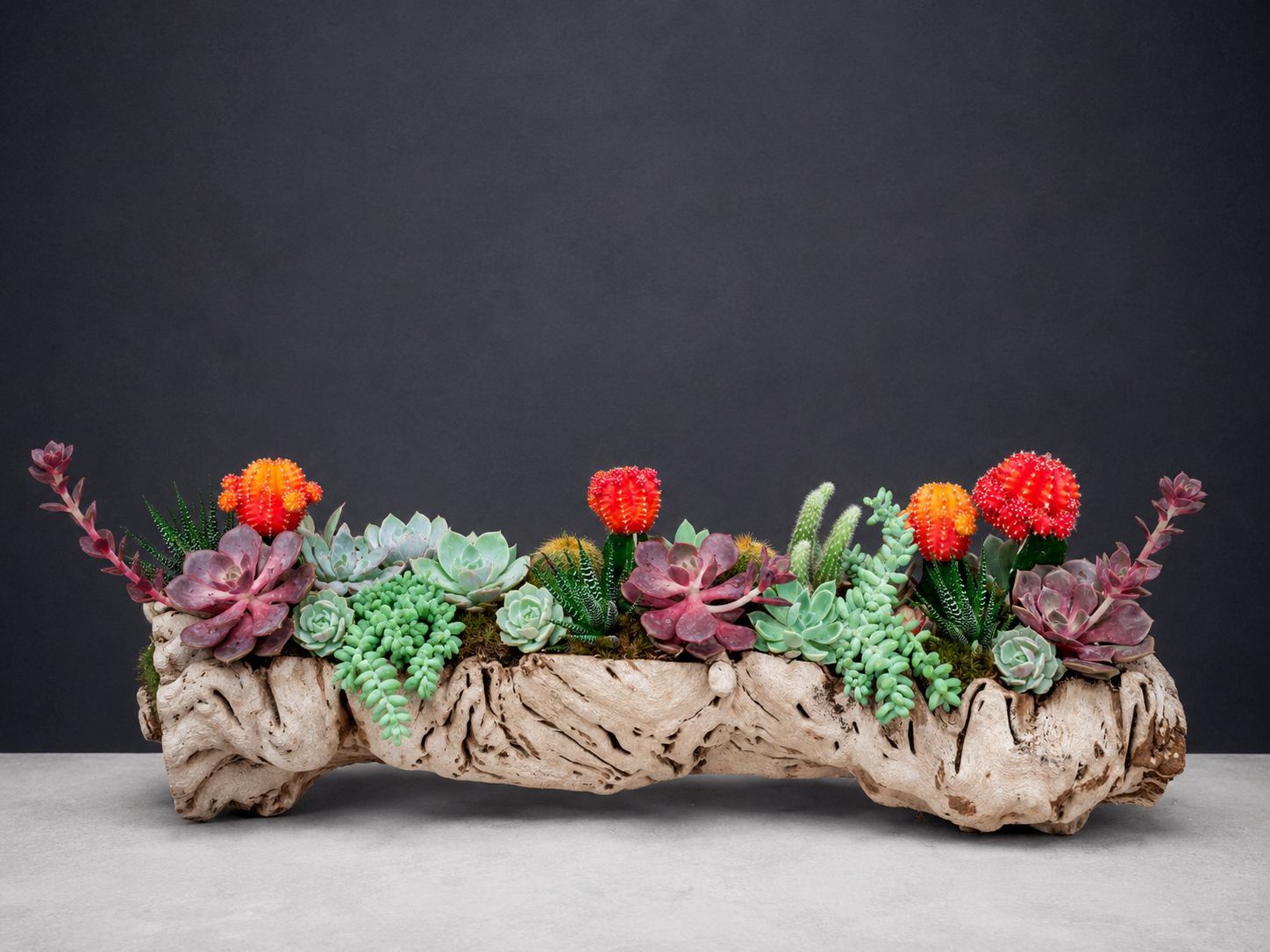 Desert Oasis Driftwood Arrangement