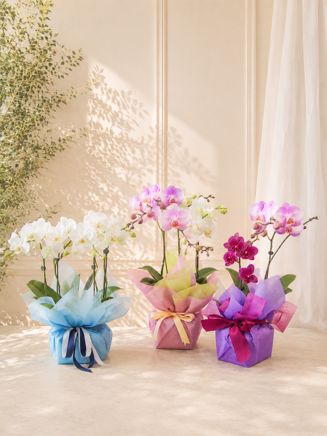 [Designer's Choice] Mini Orchid gift Box