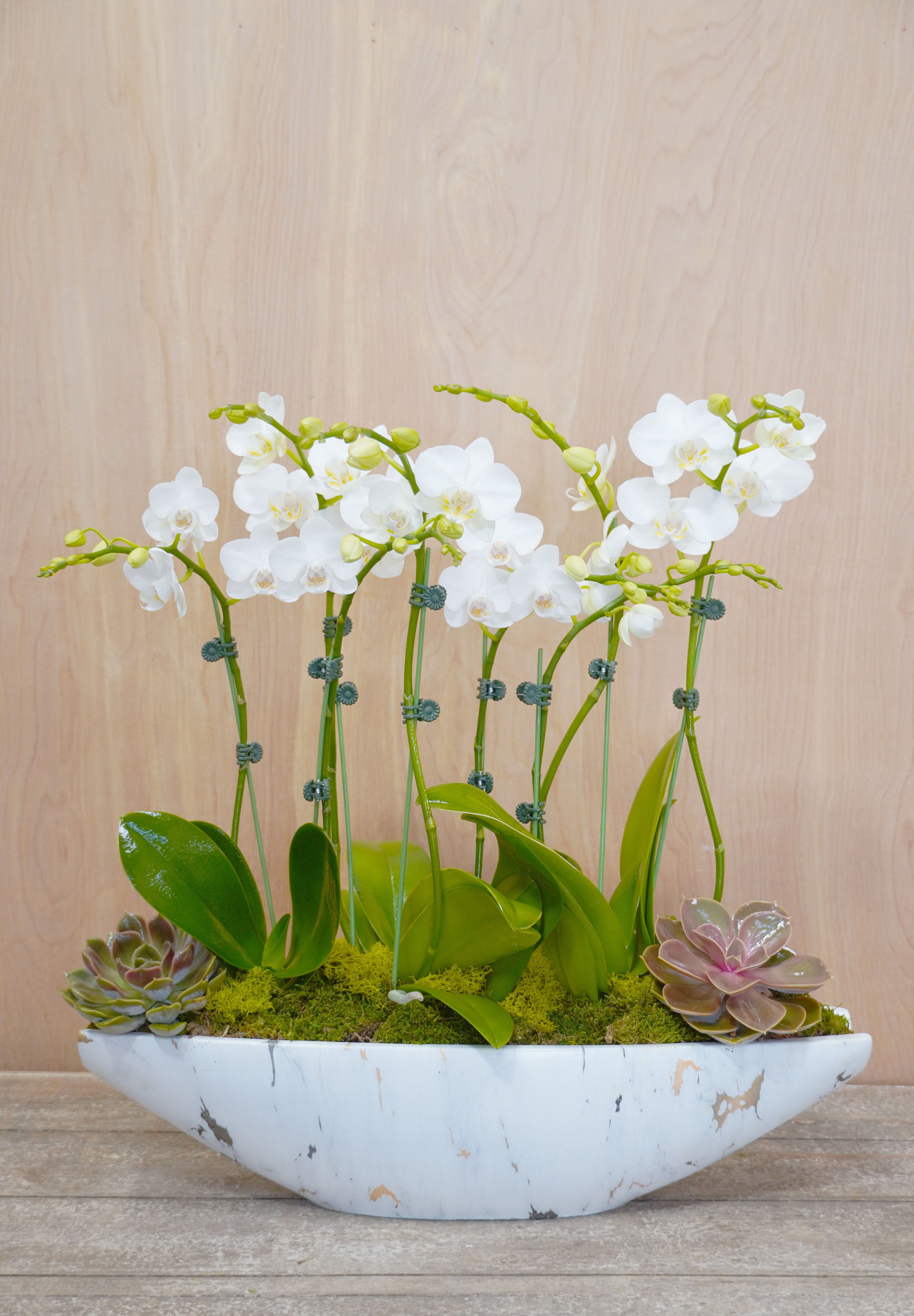 Decorative arrangement with white flowers and succulents in a white bowl on a wooden surface.