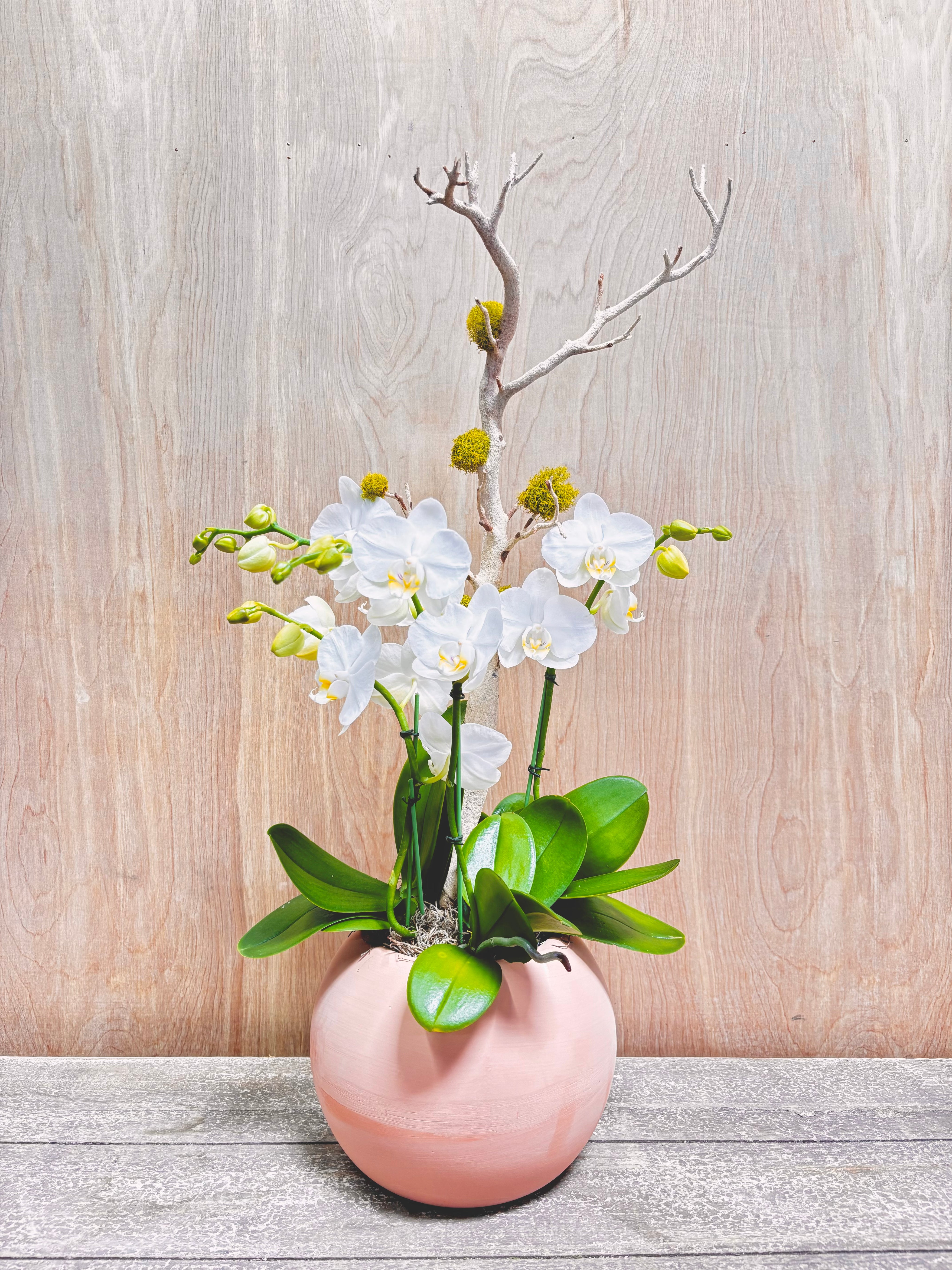 Pink vase with white flowers and green leaves on a wooden surface