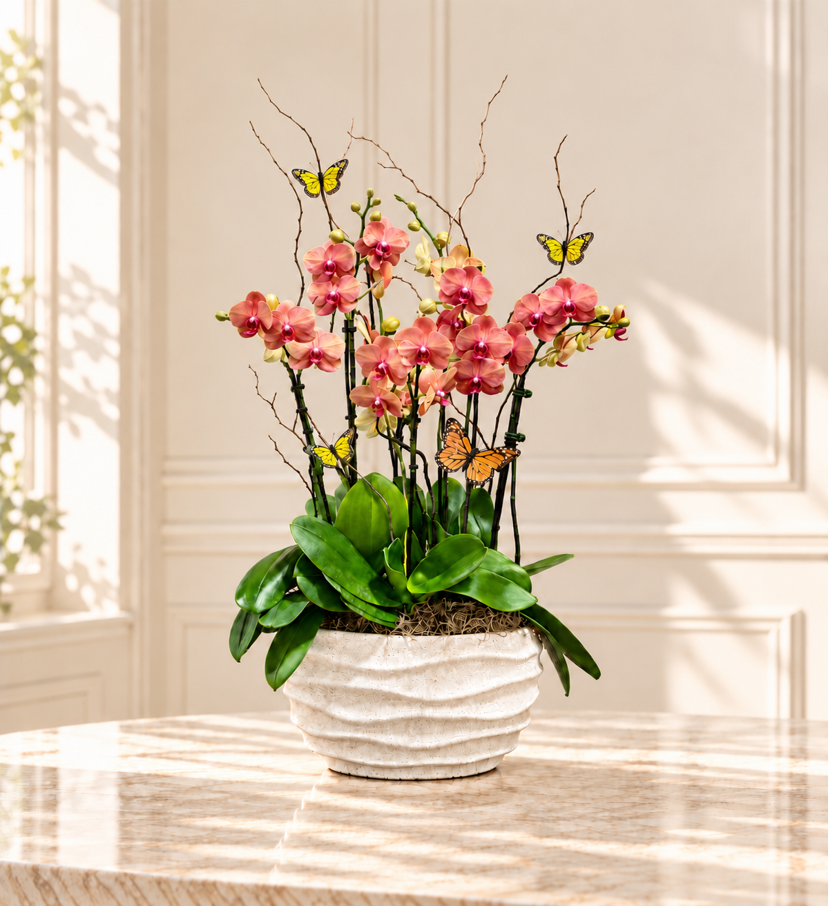 Aurelia Coral Orchid