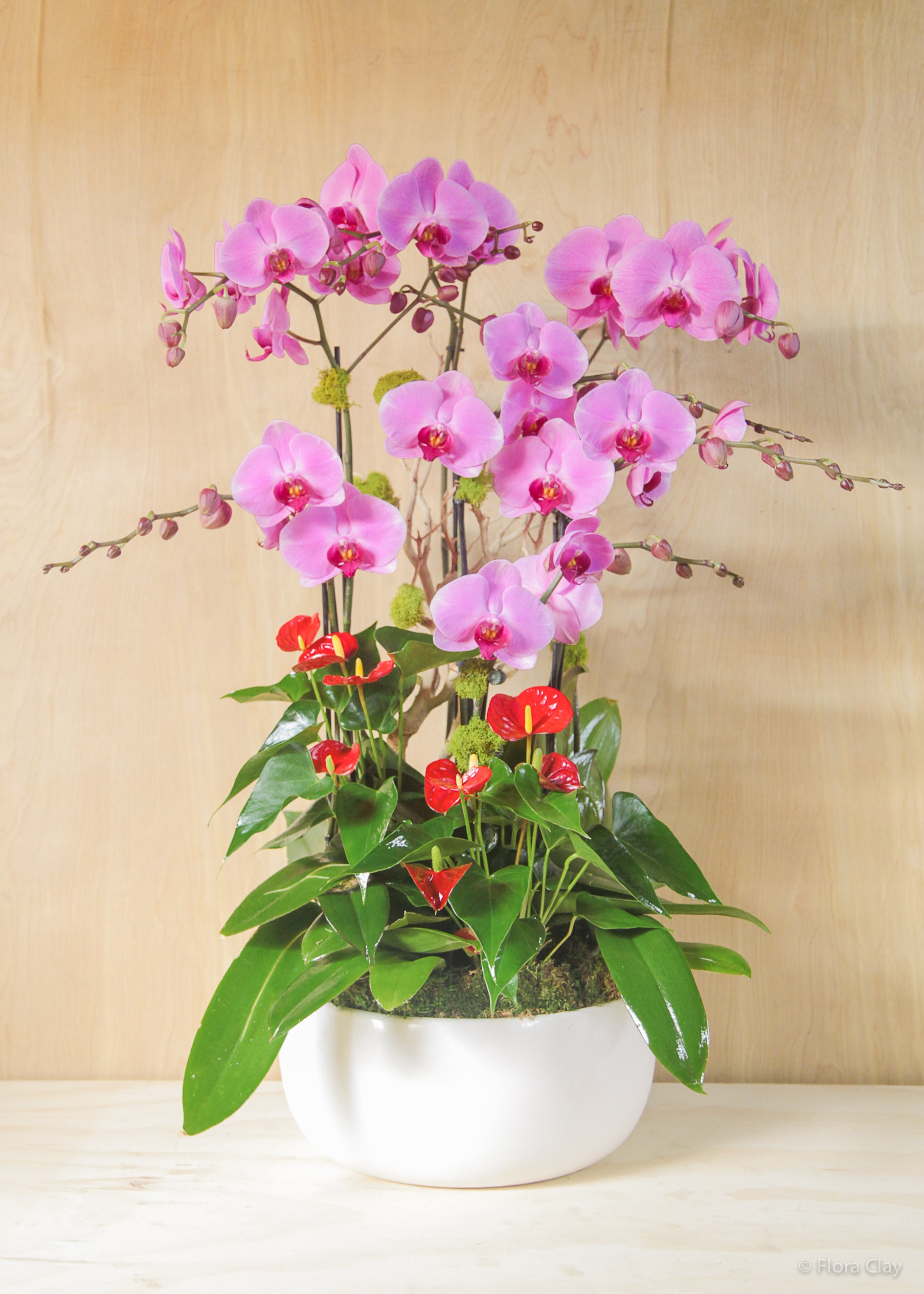 pink red orchid arrangement