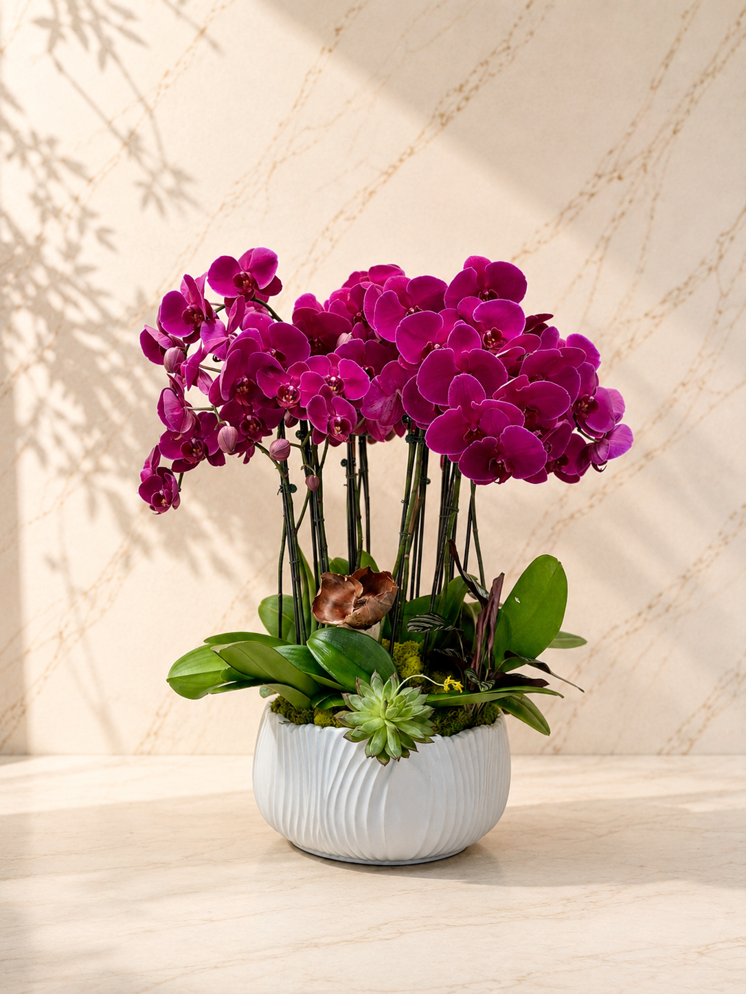 A tribute to timeless devotion. The Empress is a grand assembly of deep purple orchids, standing as a symbol of nobility and unconditional love. Its commanding presence and rich color define the peak of classic luxury.

Style: Timeless • Grand

Vibe: Royal & Stately