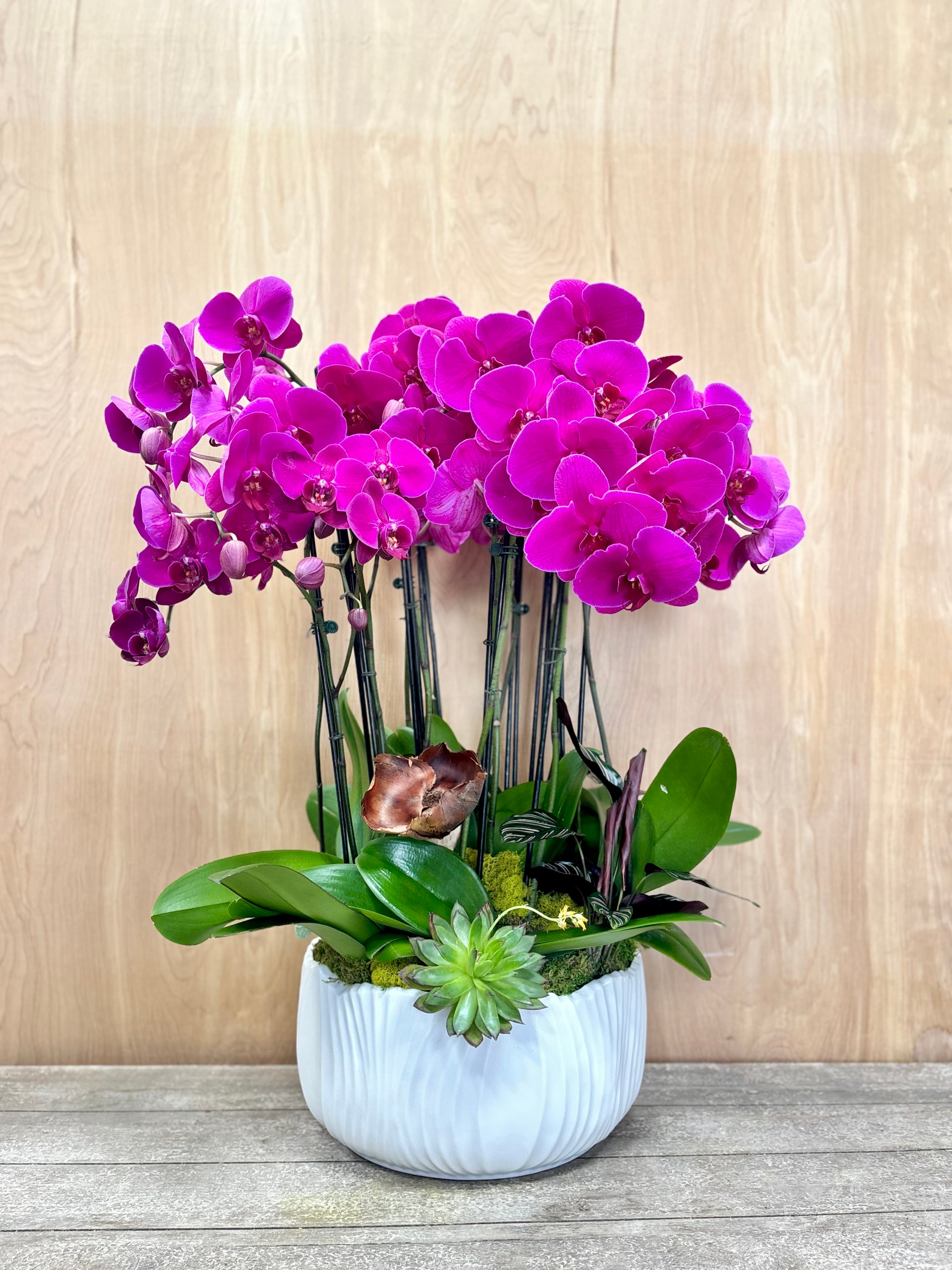 Potted purple orchid plant on a wooden surface with a light wood panel background