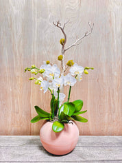 Earth Bloom