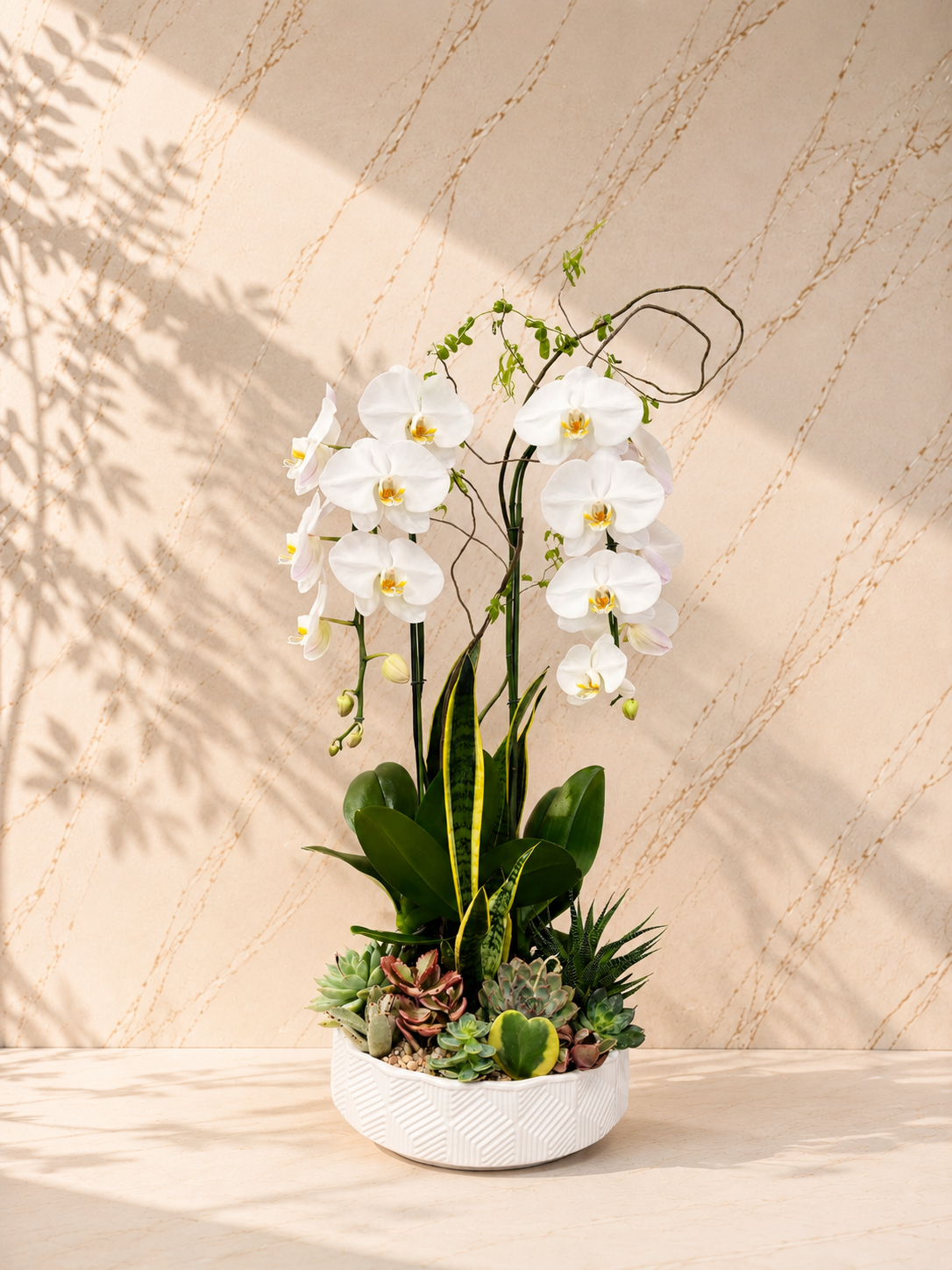 A lush, living masterpiece for the true plant lover. The Gaia combines cascading white orchids with a curated selection of succulents and indoor plants. It’s more than a gift; it’s a serene indoor garden that grows with her love.

Style: Lush • Curated

Vibe: Organic & Botanical

 

 Arrangement Dimensions Approx. 36" H x 14" W