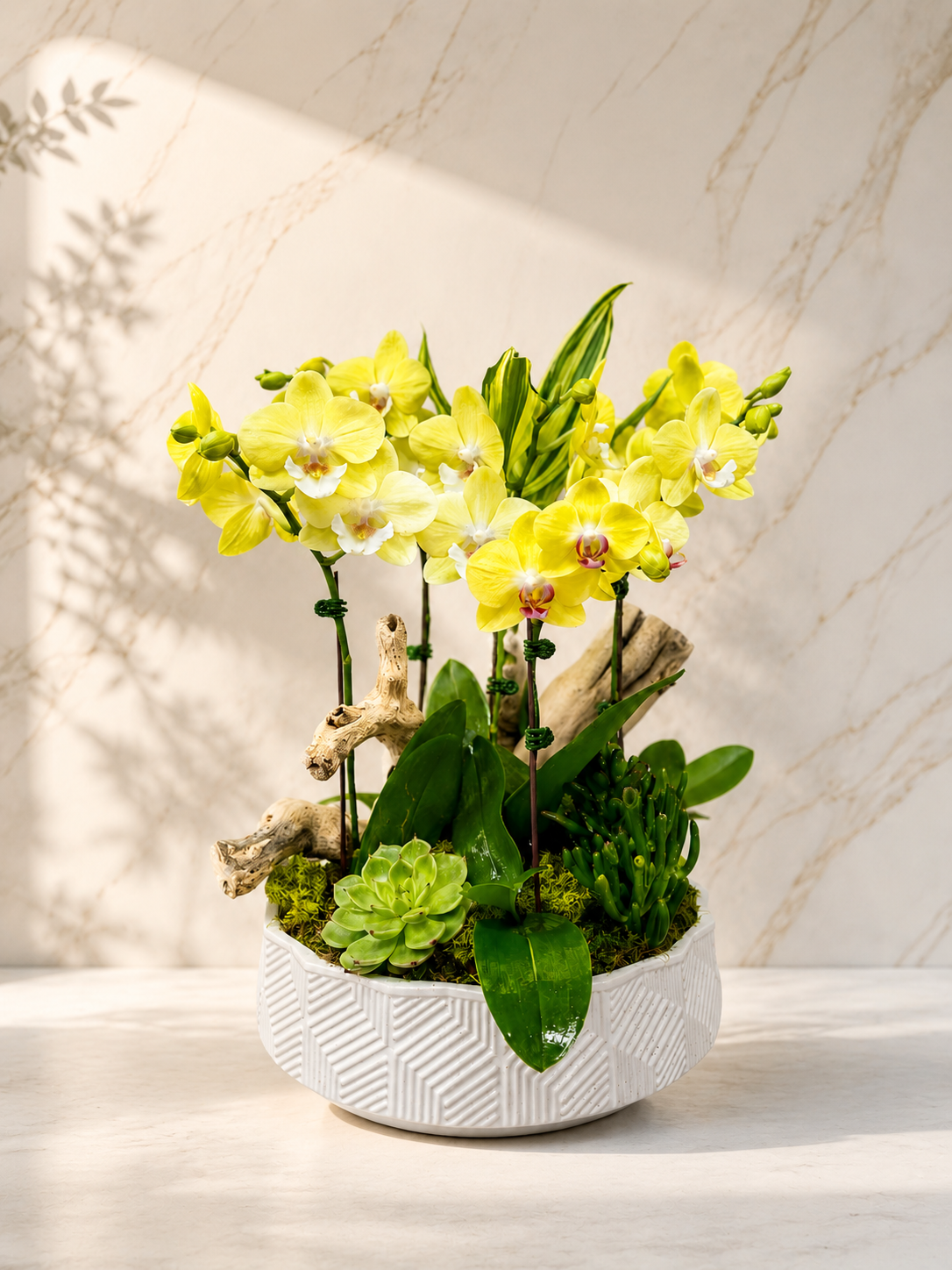 Decorative plant arrangement with yellow flowers and greenery in a white pot on a marble surface. Golden Harmony Orchid & Succulent Arrangement yellow orchid