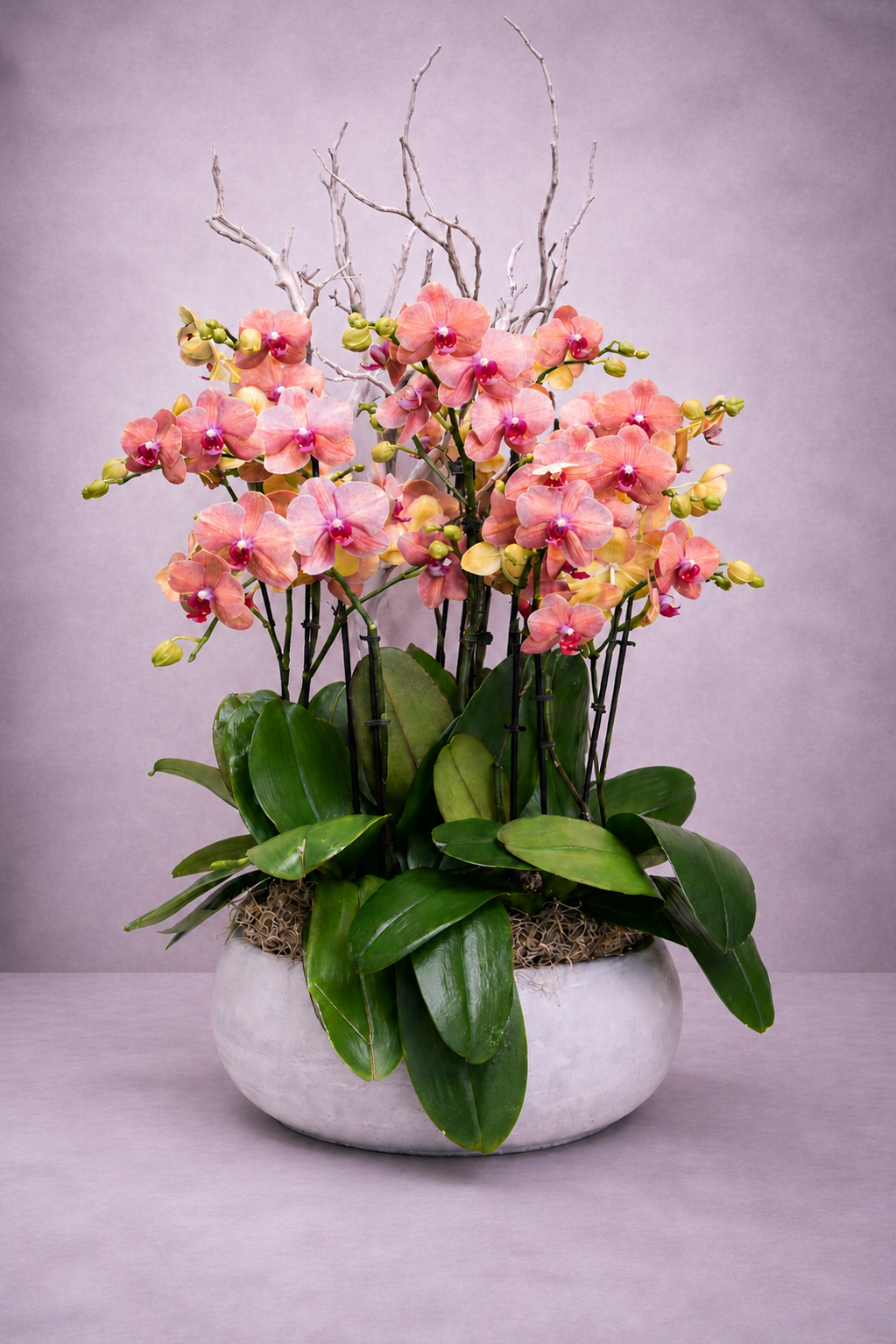 orange orchids arrangement in a stone planter