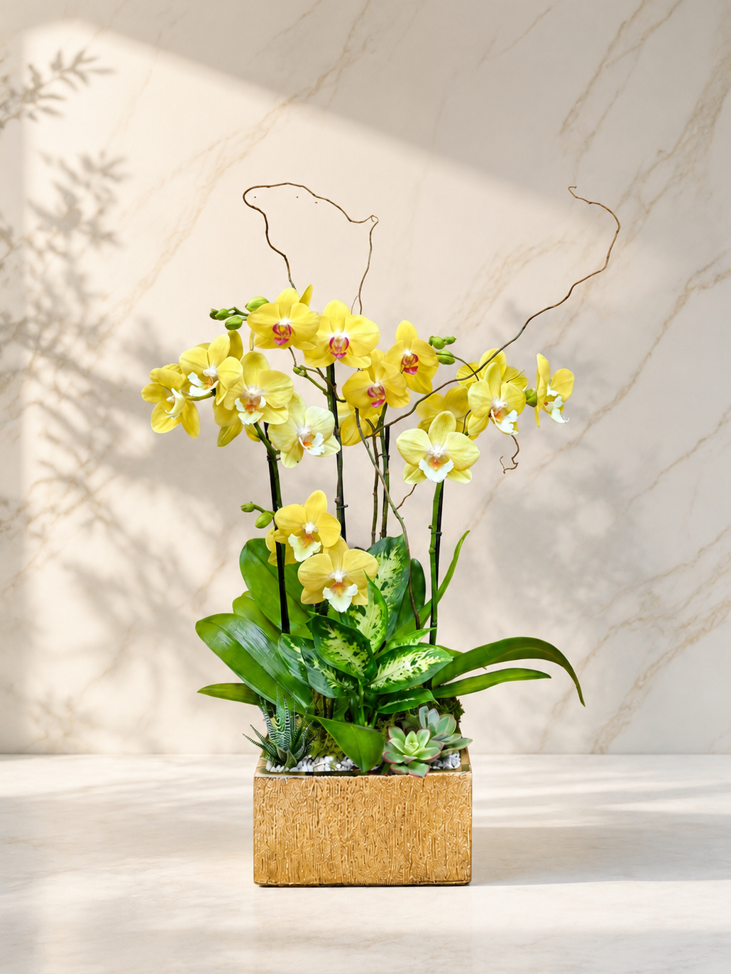Golden Prosperity Orchid Garden yellow orchid